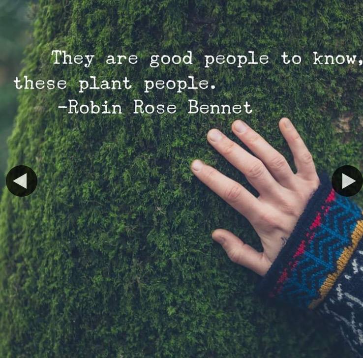 Father Nature Landscapes