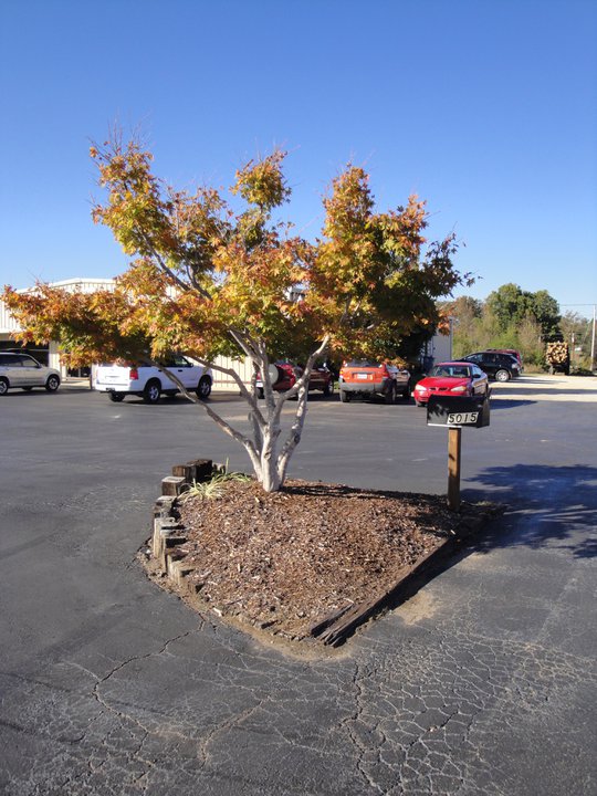 West Lauderdale Veterinary Hospital Florence