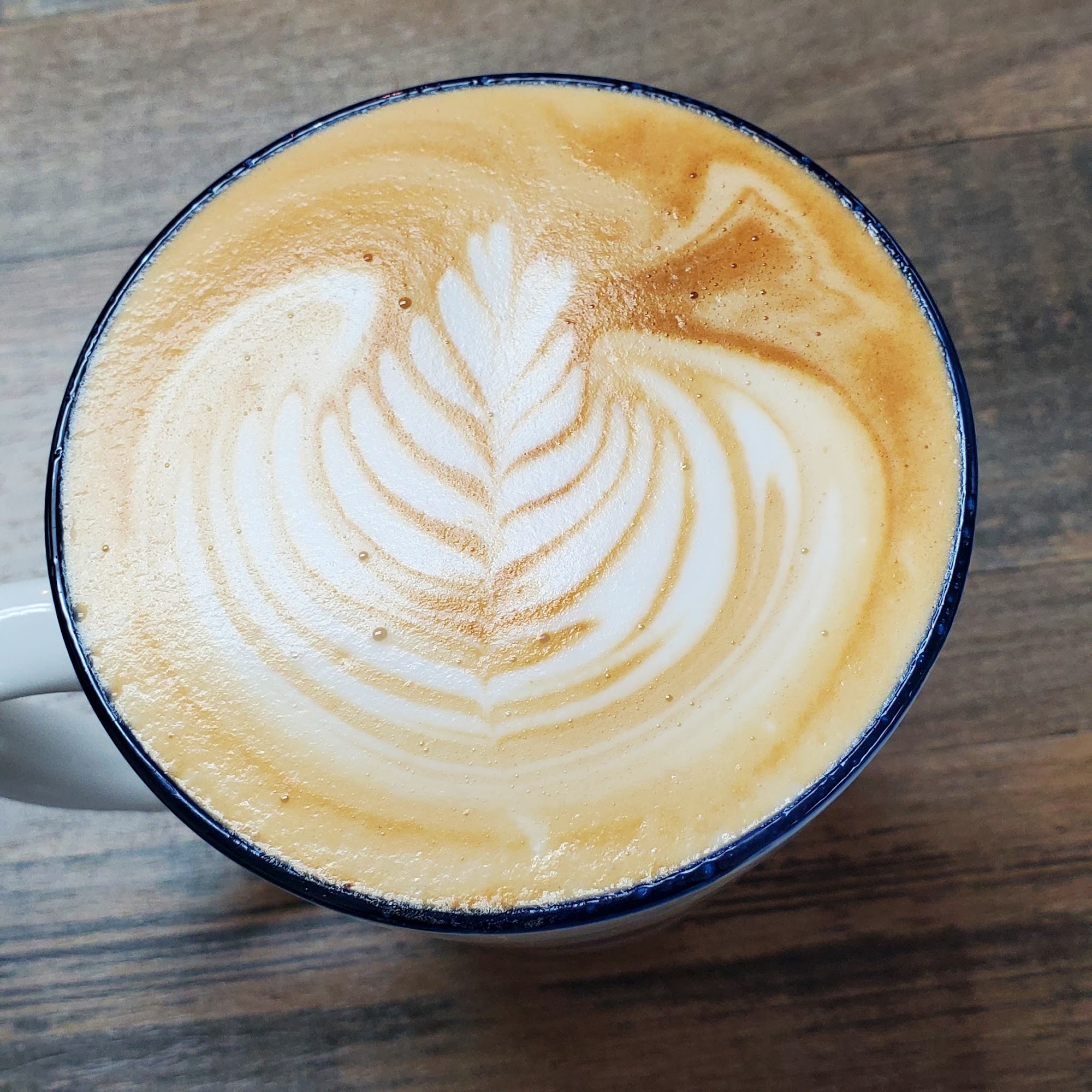 Dandelion & Co Tea and Coffee Bar Florence