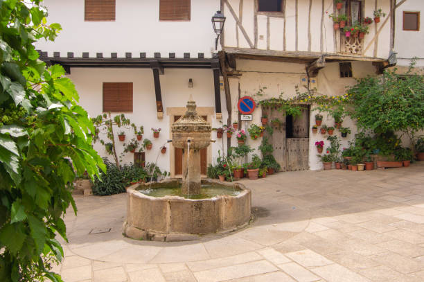 Tim Rhodes Electric Co