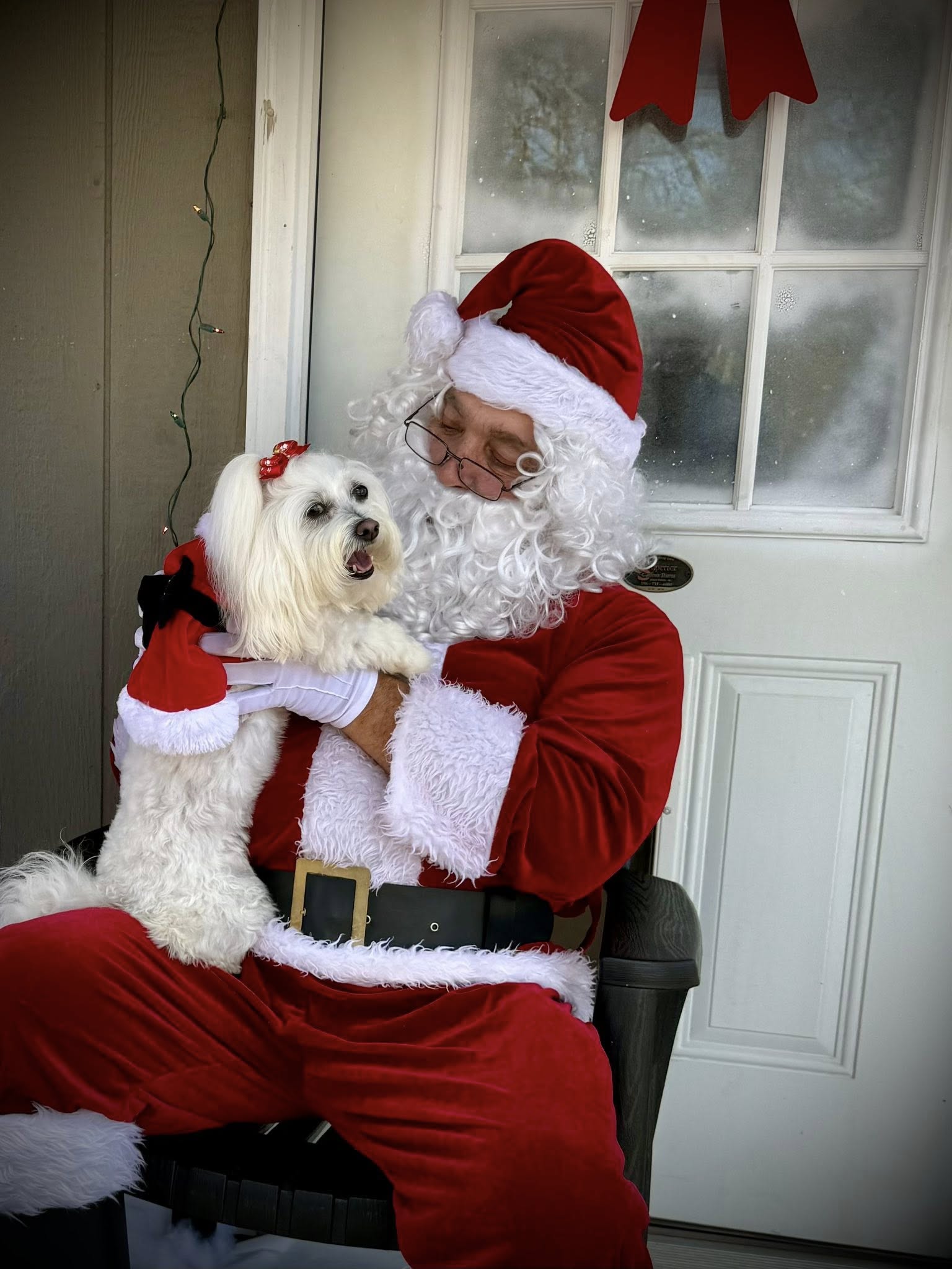 Wags to Whiskers Dog Grooming Florence