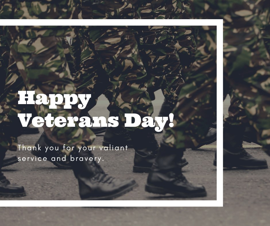 Bobcat of The Shoals Florence