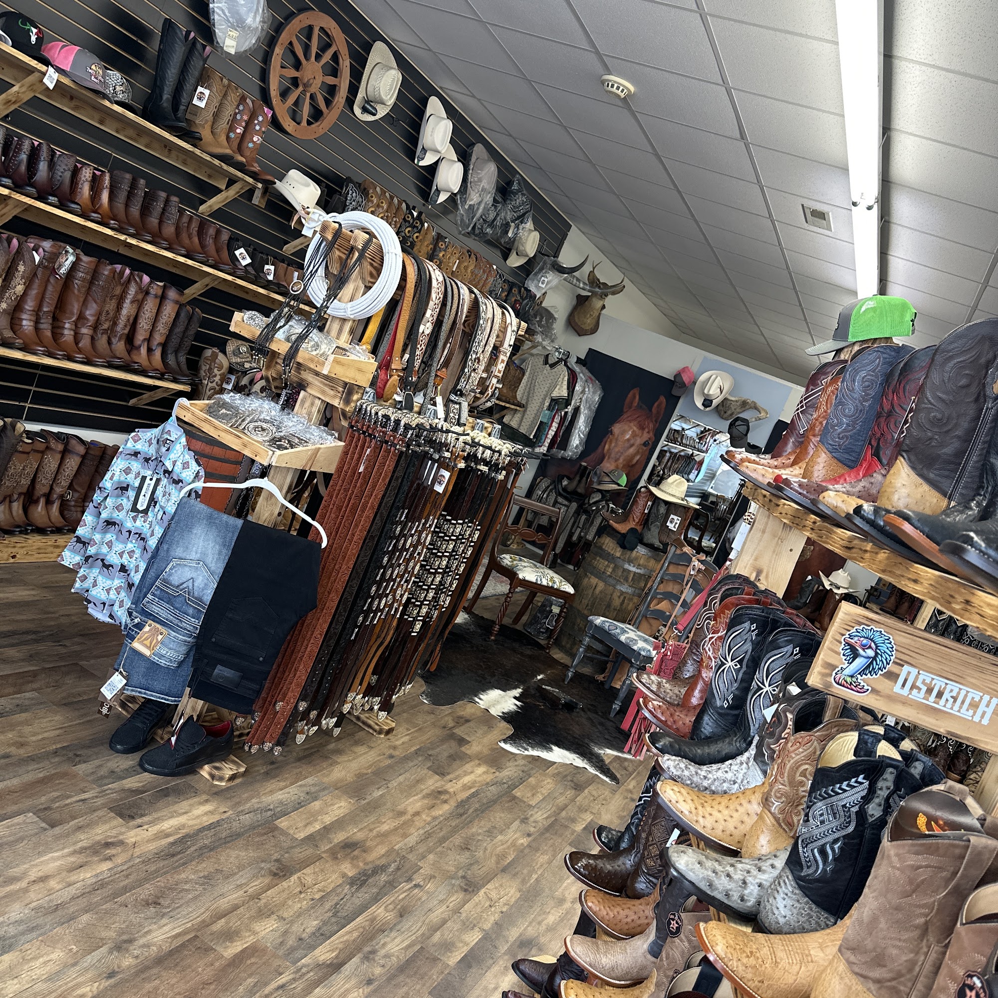 Tres Geckos BOOTS Florence