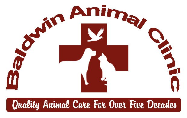 Gulf Coast Networking Llc