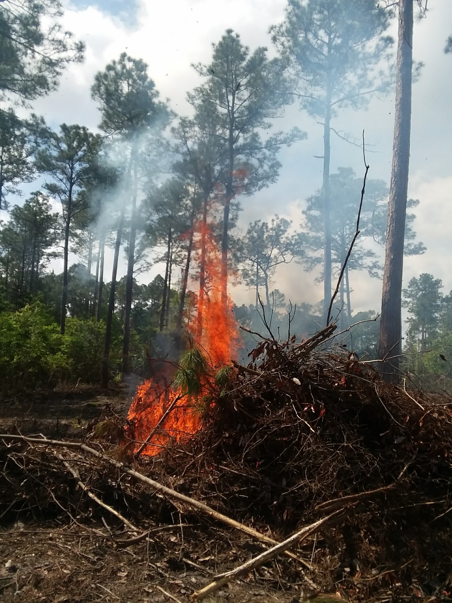 Ame's Fine Design LLC Foley