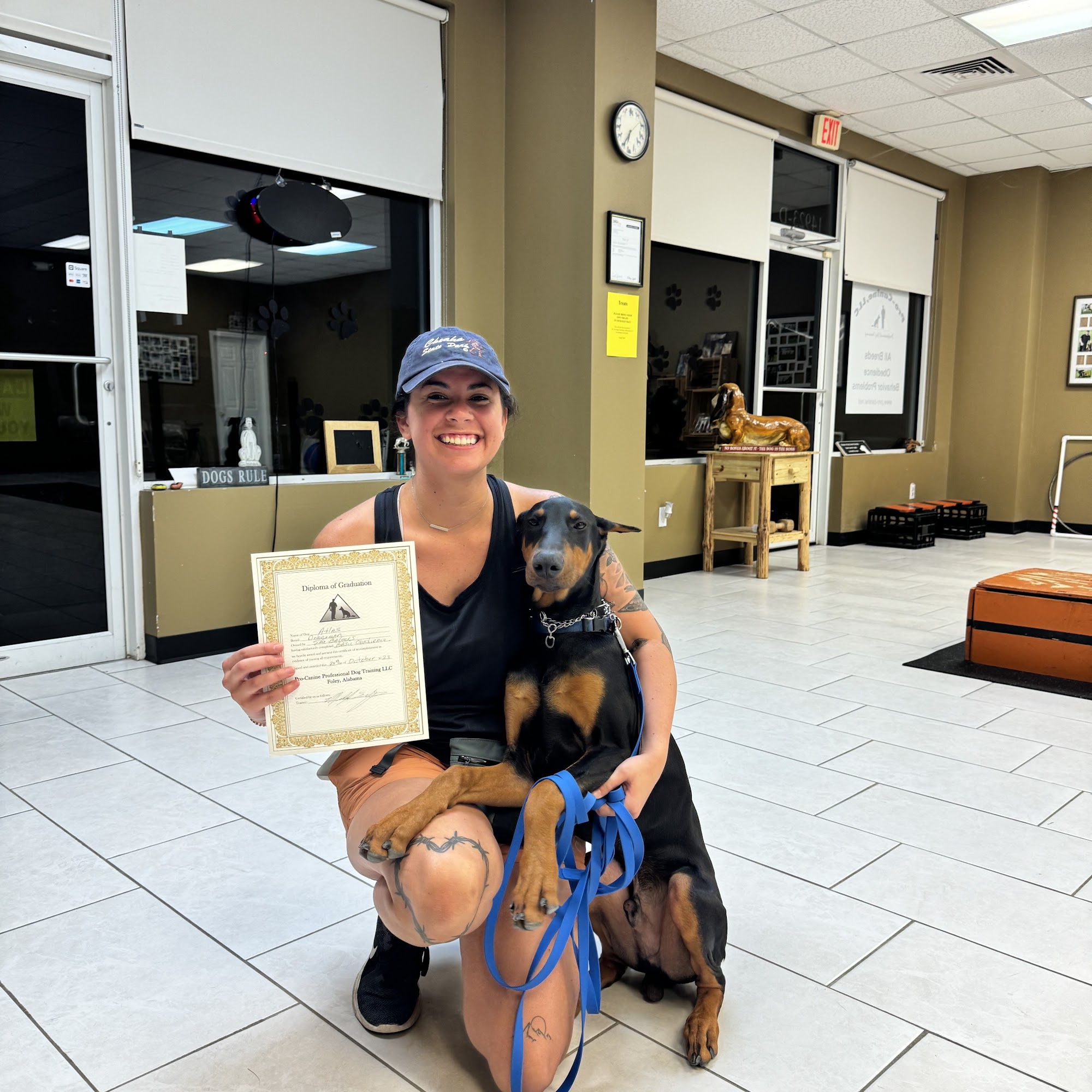 Pro-Canine Professional Dog Training 14923 AL-59, Foley Alabama 36535