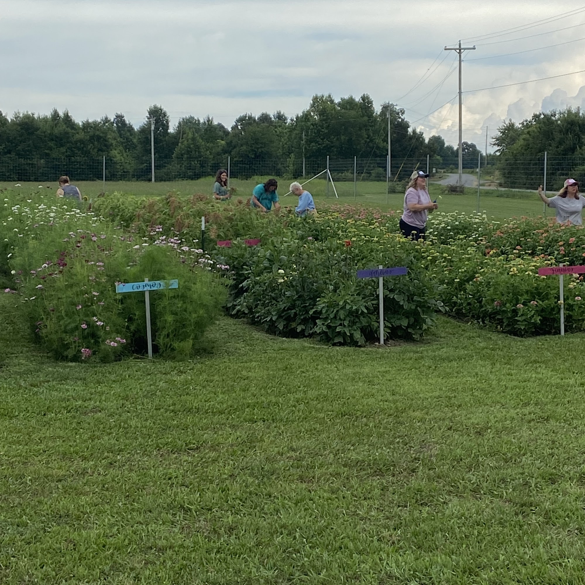 Moonflower Farms Fort Payne