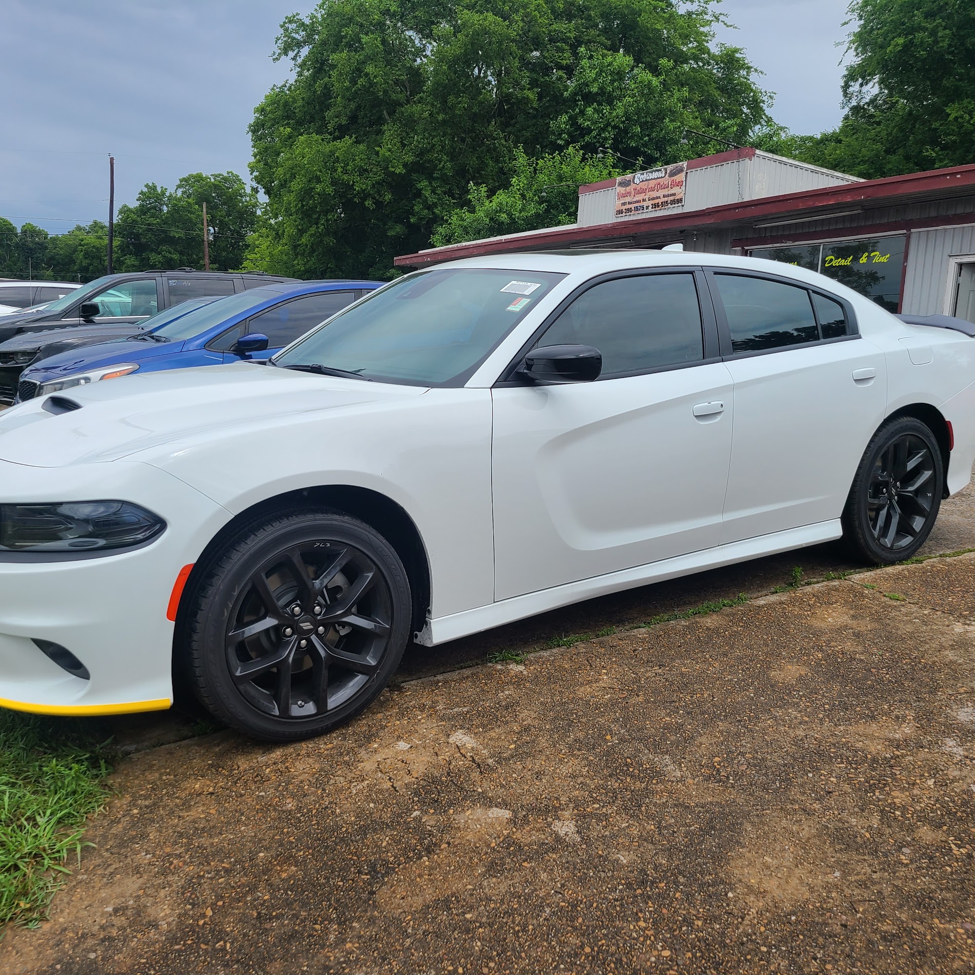 Mandys Tints 1101 Noccalula Rd, Gadsden Alabama 35904