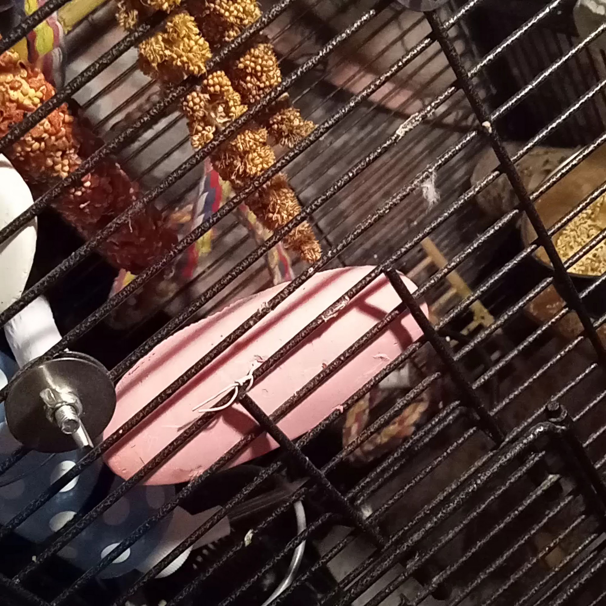Pet Supermarket Gardendale