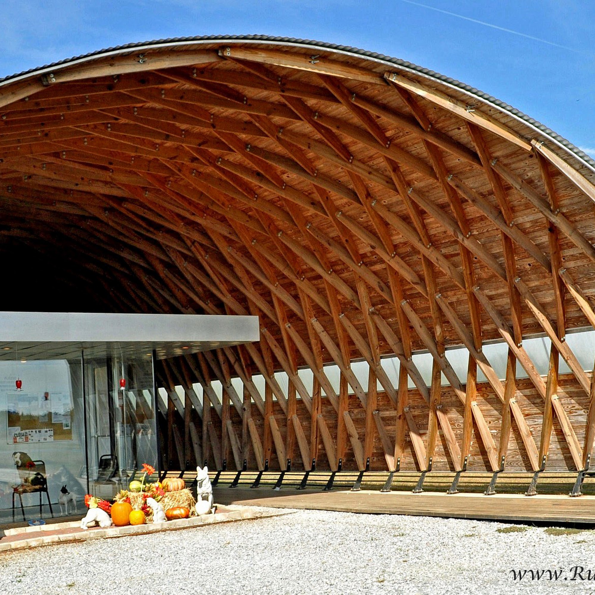 Hale County Animal Shelter Greensboro