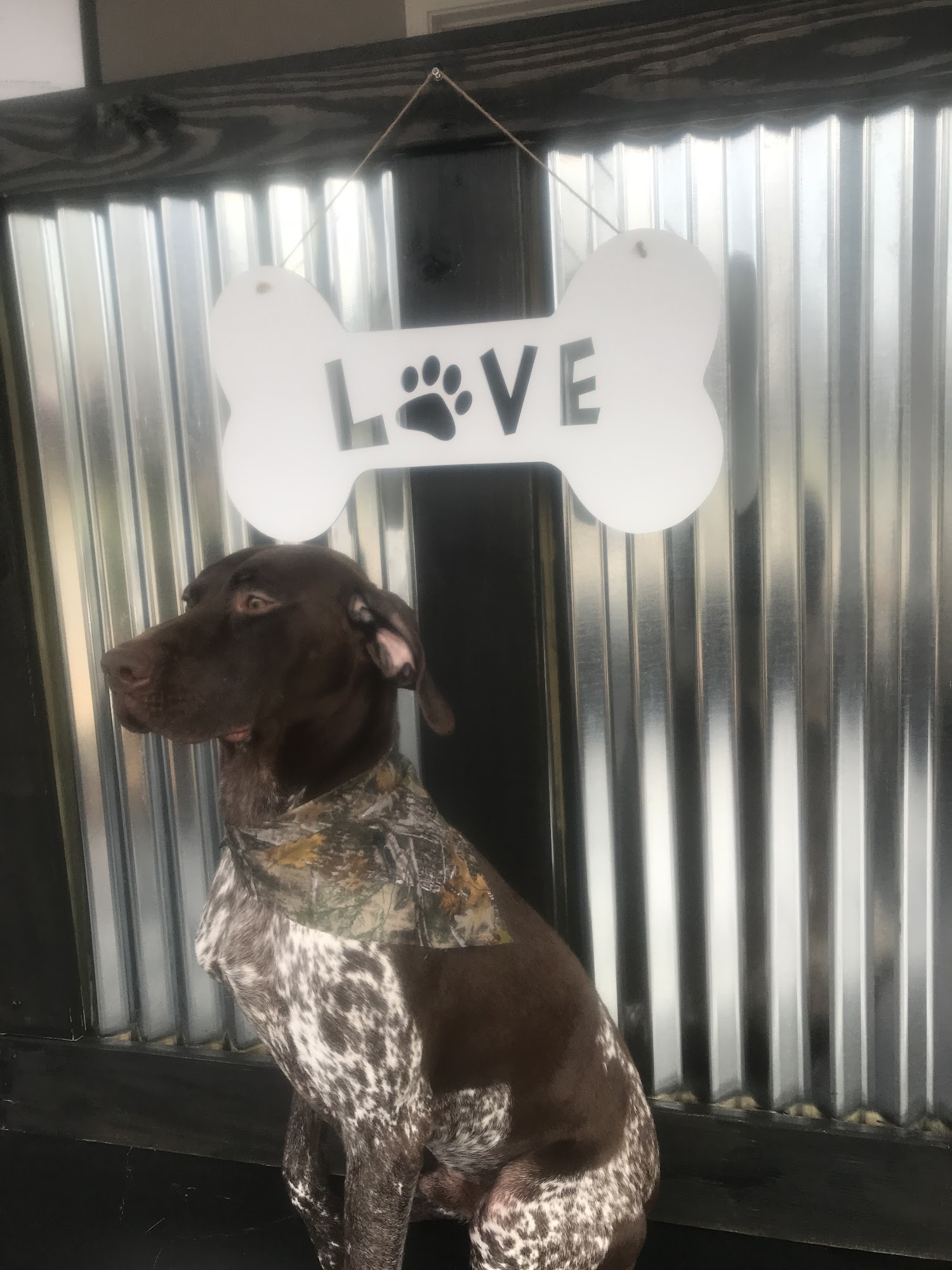 The Grooming Co. Greenville