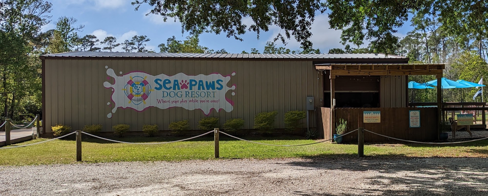 Sea Paws Dog Resort Gulf Shores