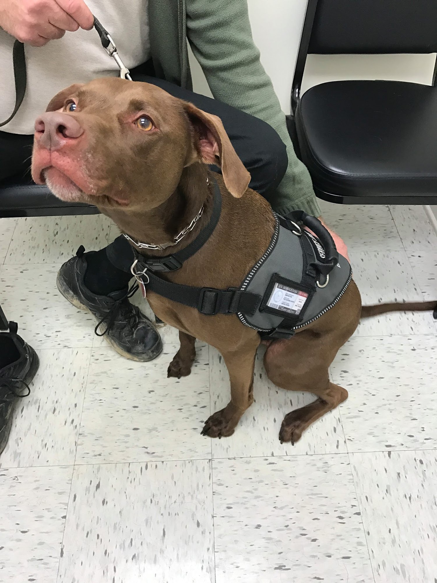 Lake Guntersville Veterinary Services Guntersville