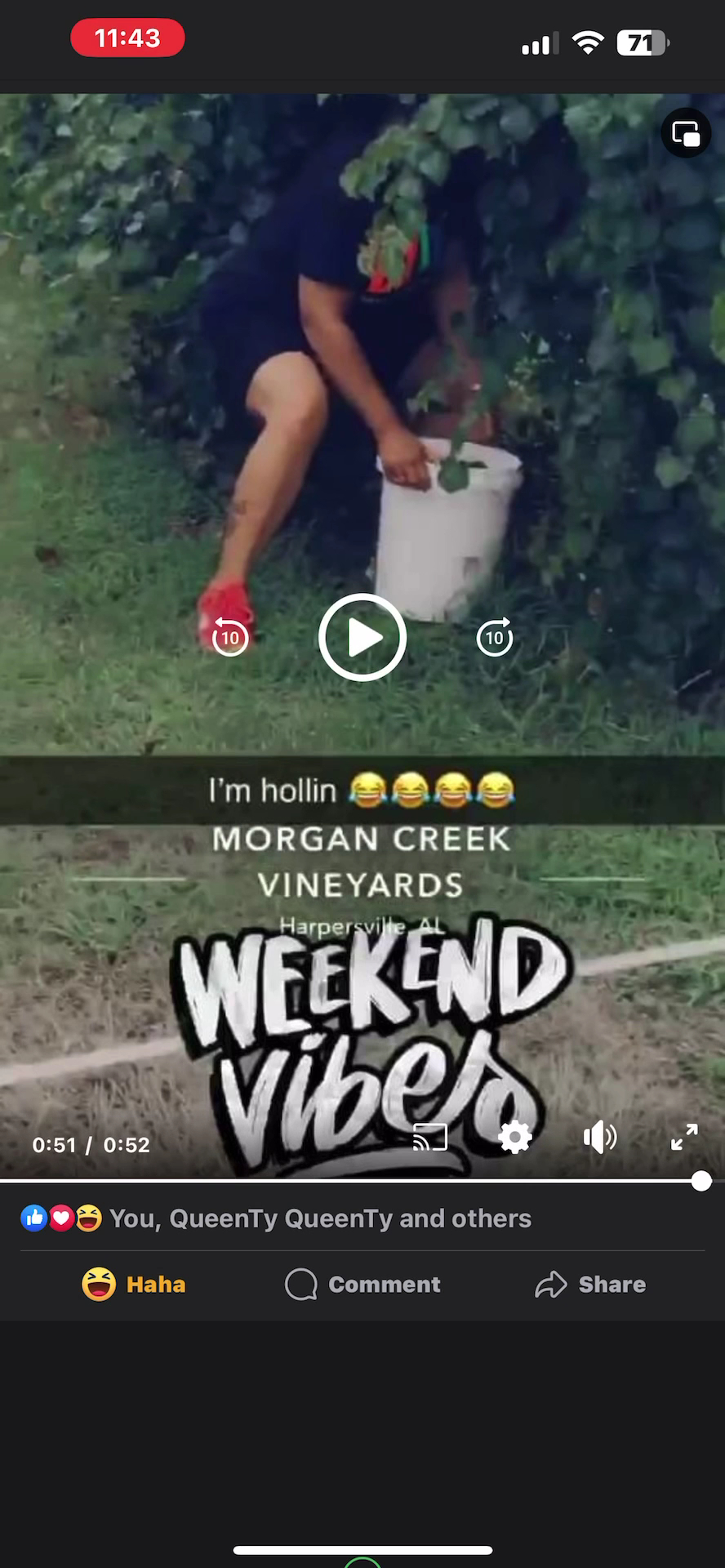 Morgan Creek Vineyards Menu