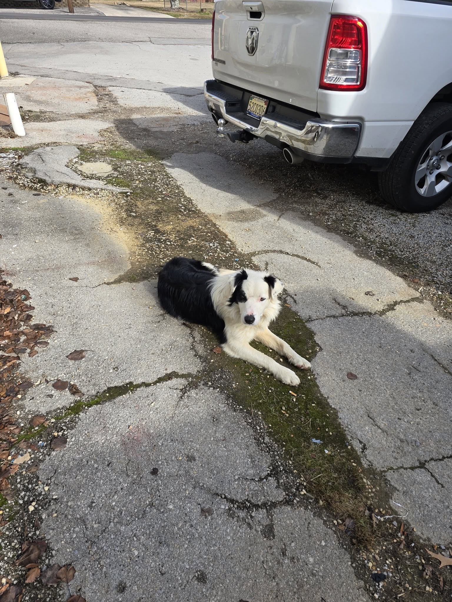 Old Havana Cafe Hartselle