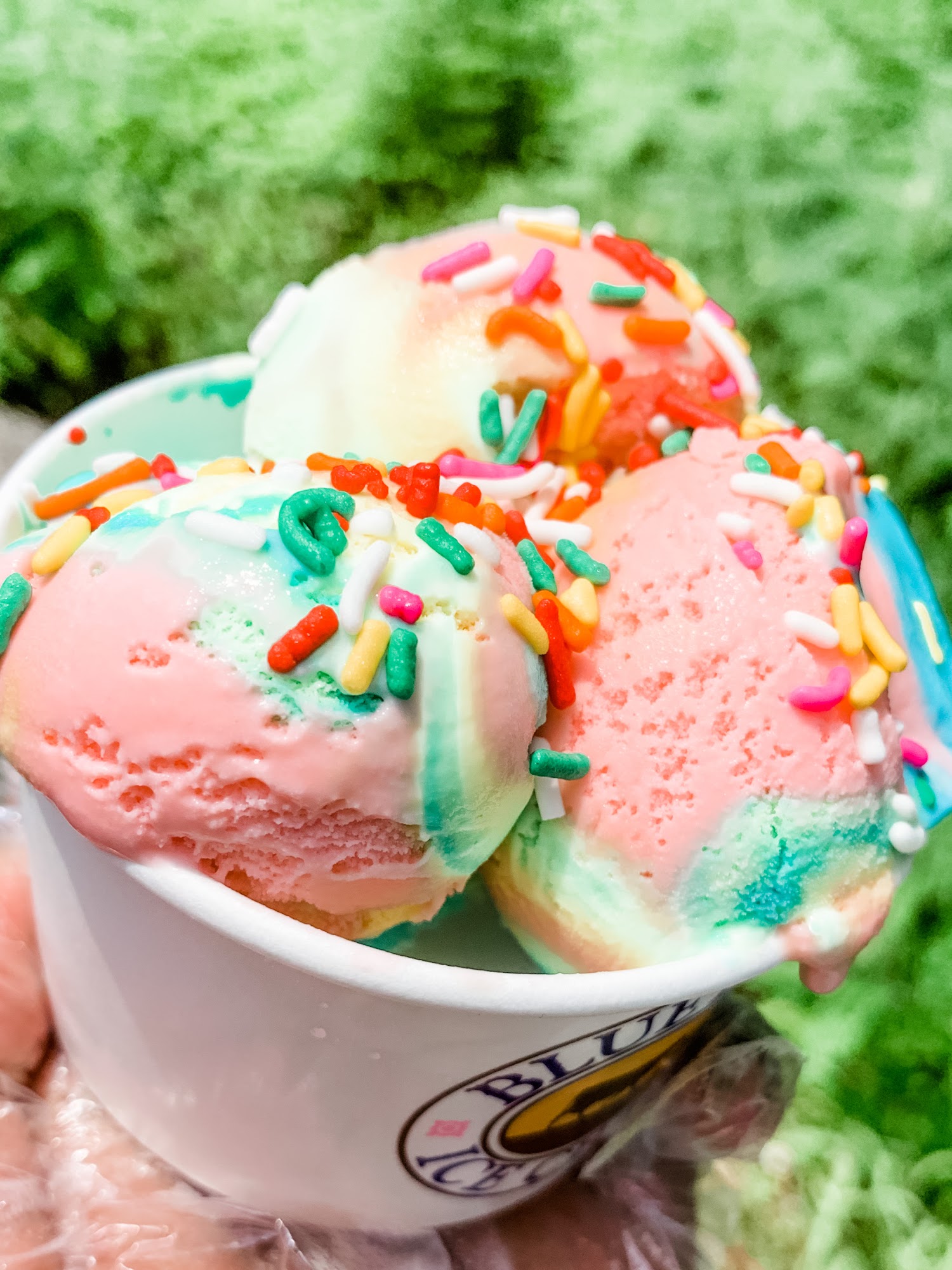 Golden Years Ice Cream Parlor and Diner / Food Truck Hazel Green