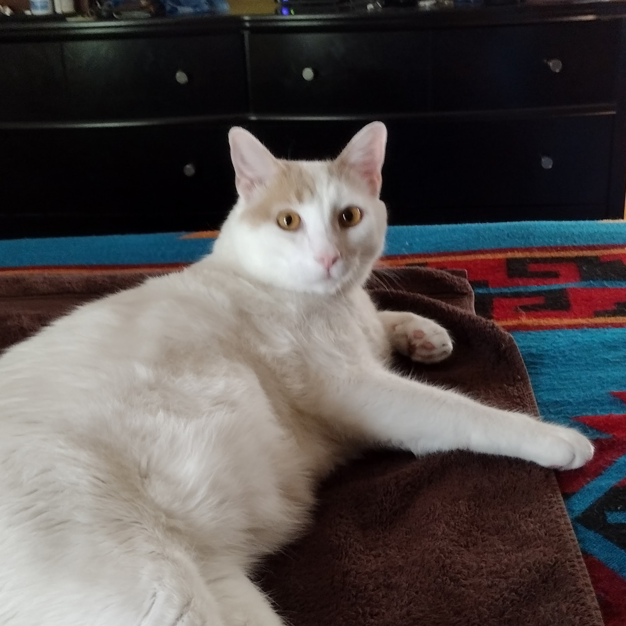 Walden Pond Animal Hospital Headland