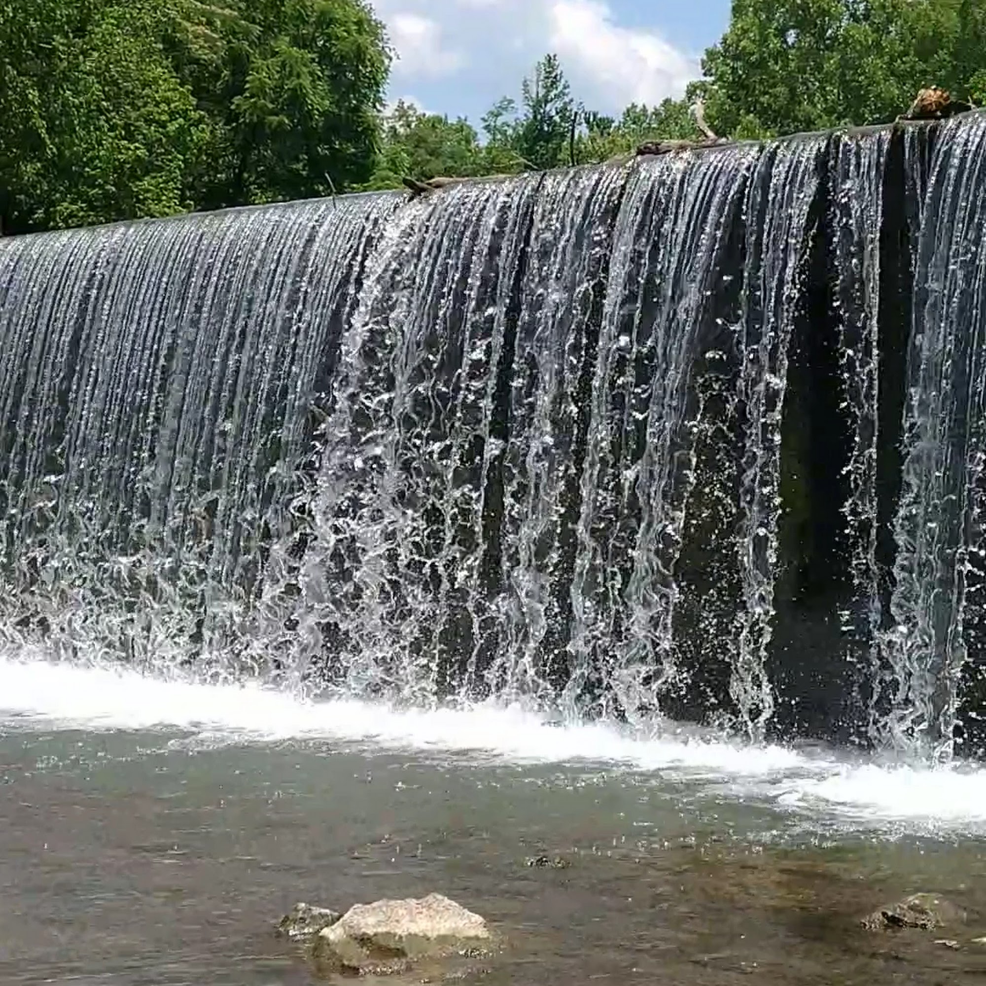 Beef 'O' Brady's Helena