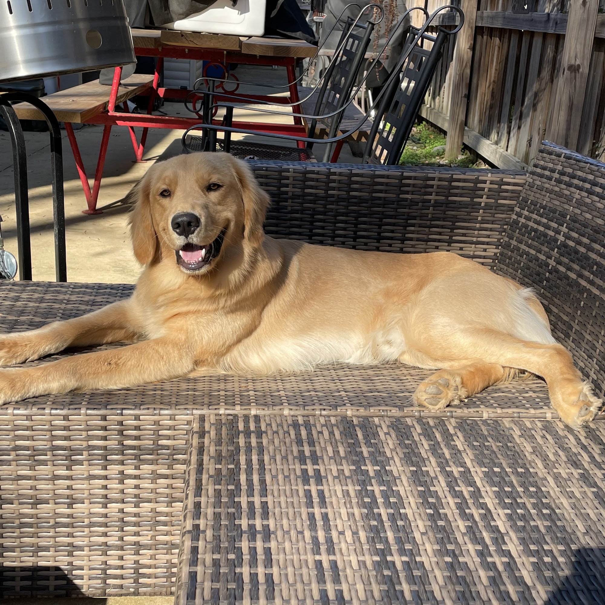 Green Springs Animal Clinic Homewood