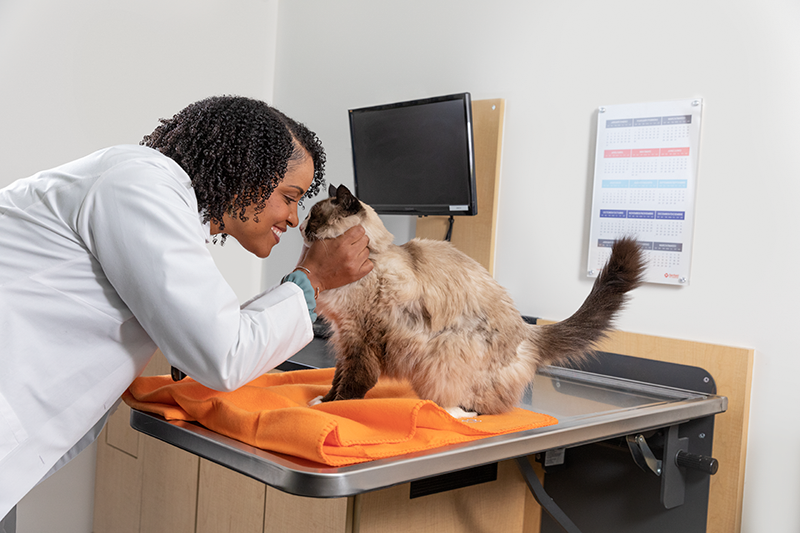Banfield Pet Hospital Hoover