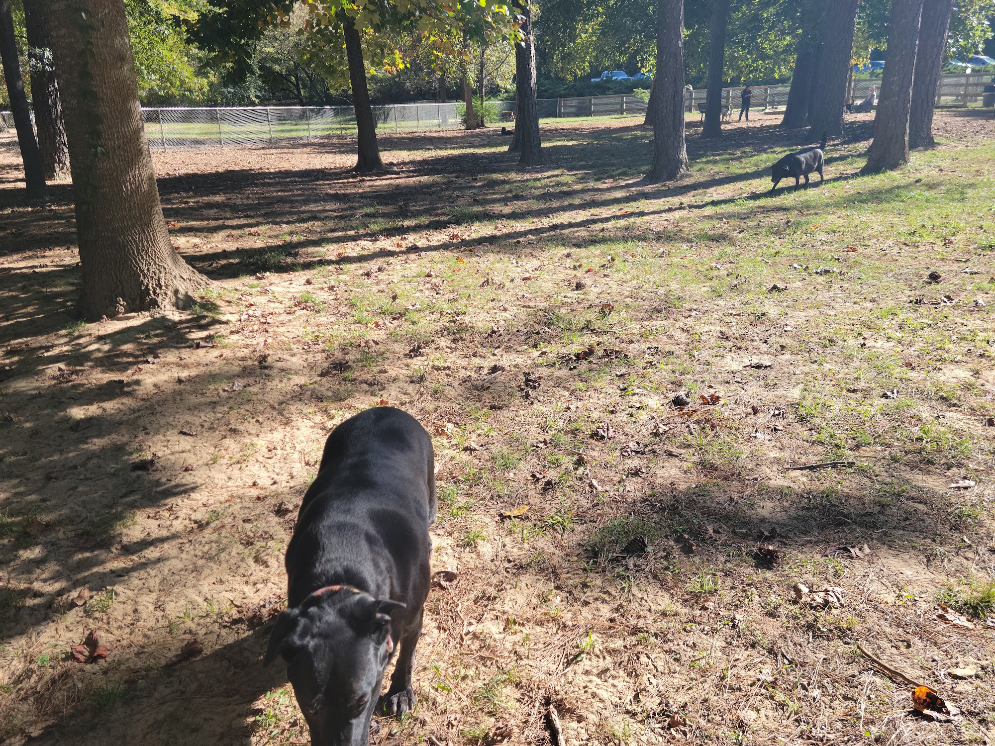 Hoover Dog Park Hoover