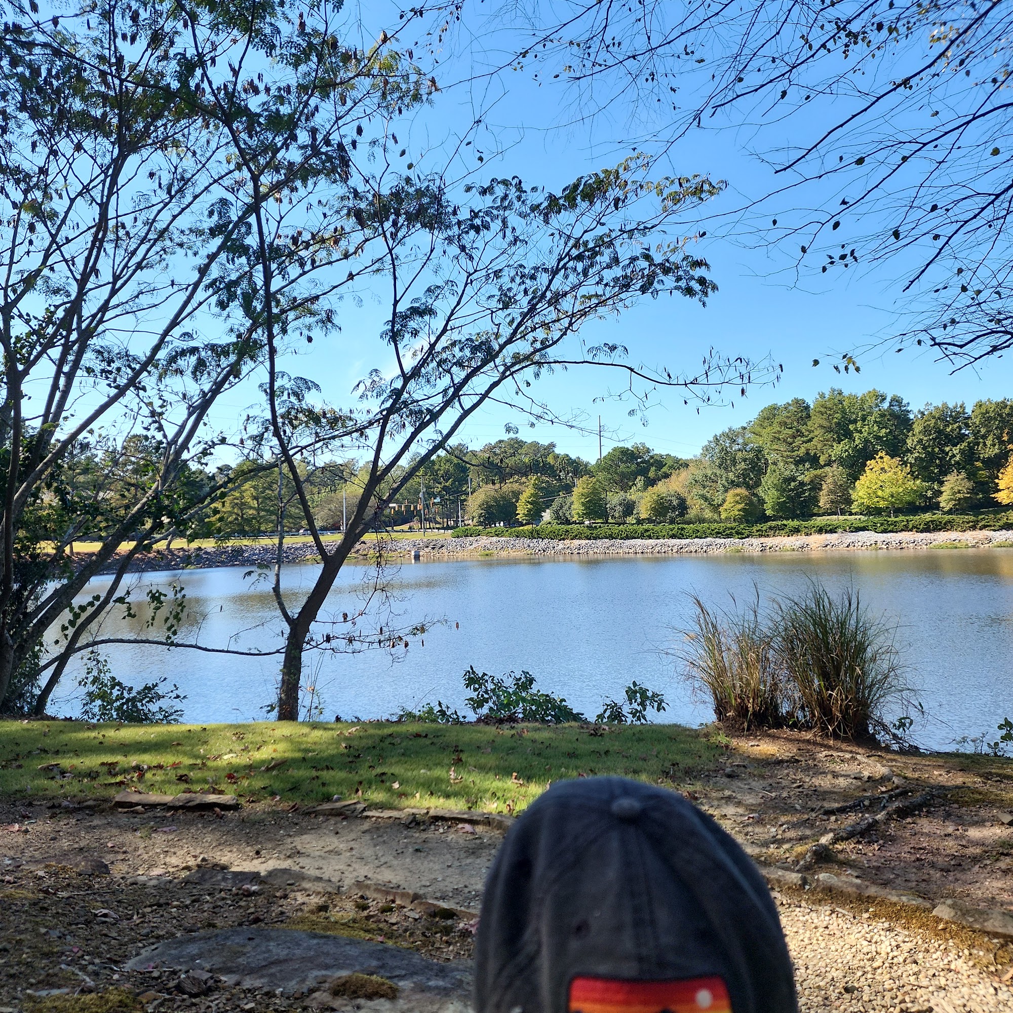 1 Riverchase Office Plaza 1 Riverchase Office Plaza, Hoover