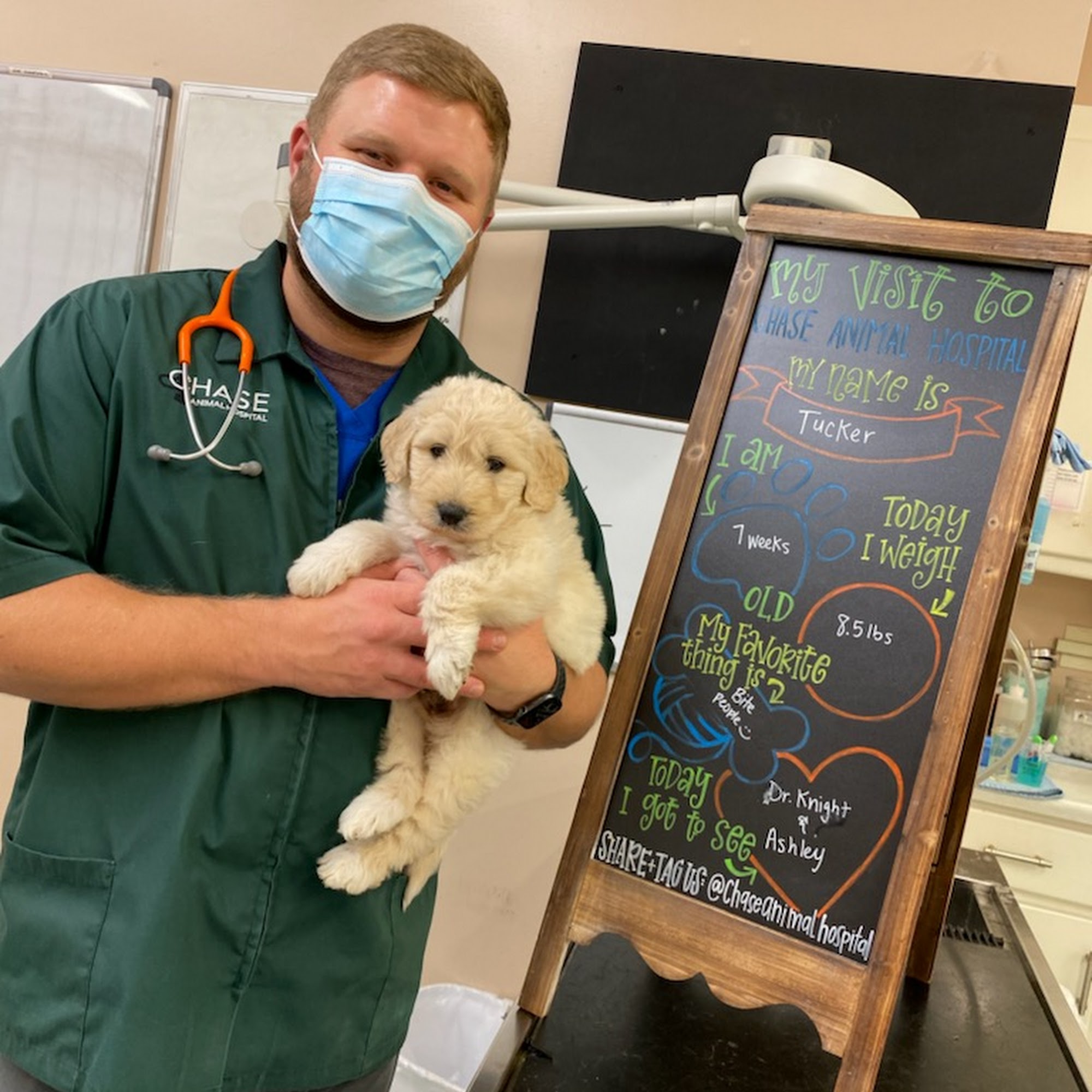 Chase Animal Hospital Huntsville