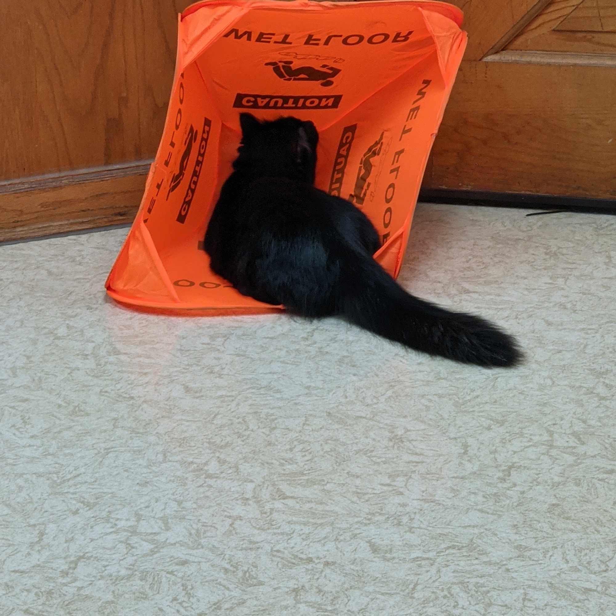 Aero City Animal Hospital Huntsville