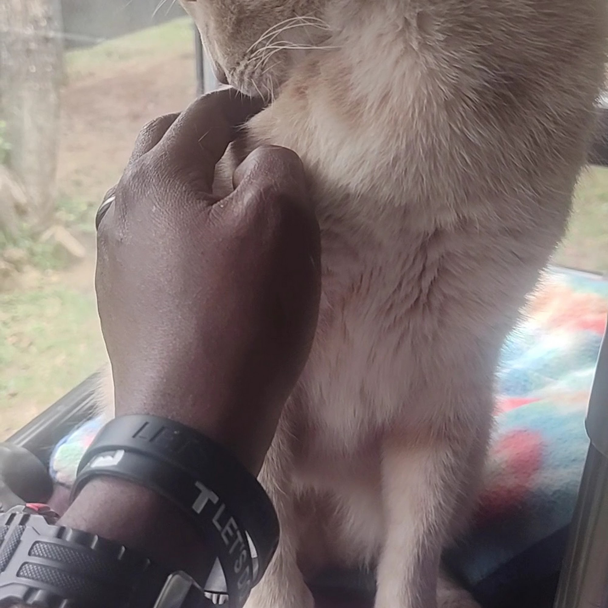 Greater Huntsville Humane Society Huntsville