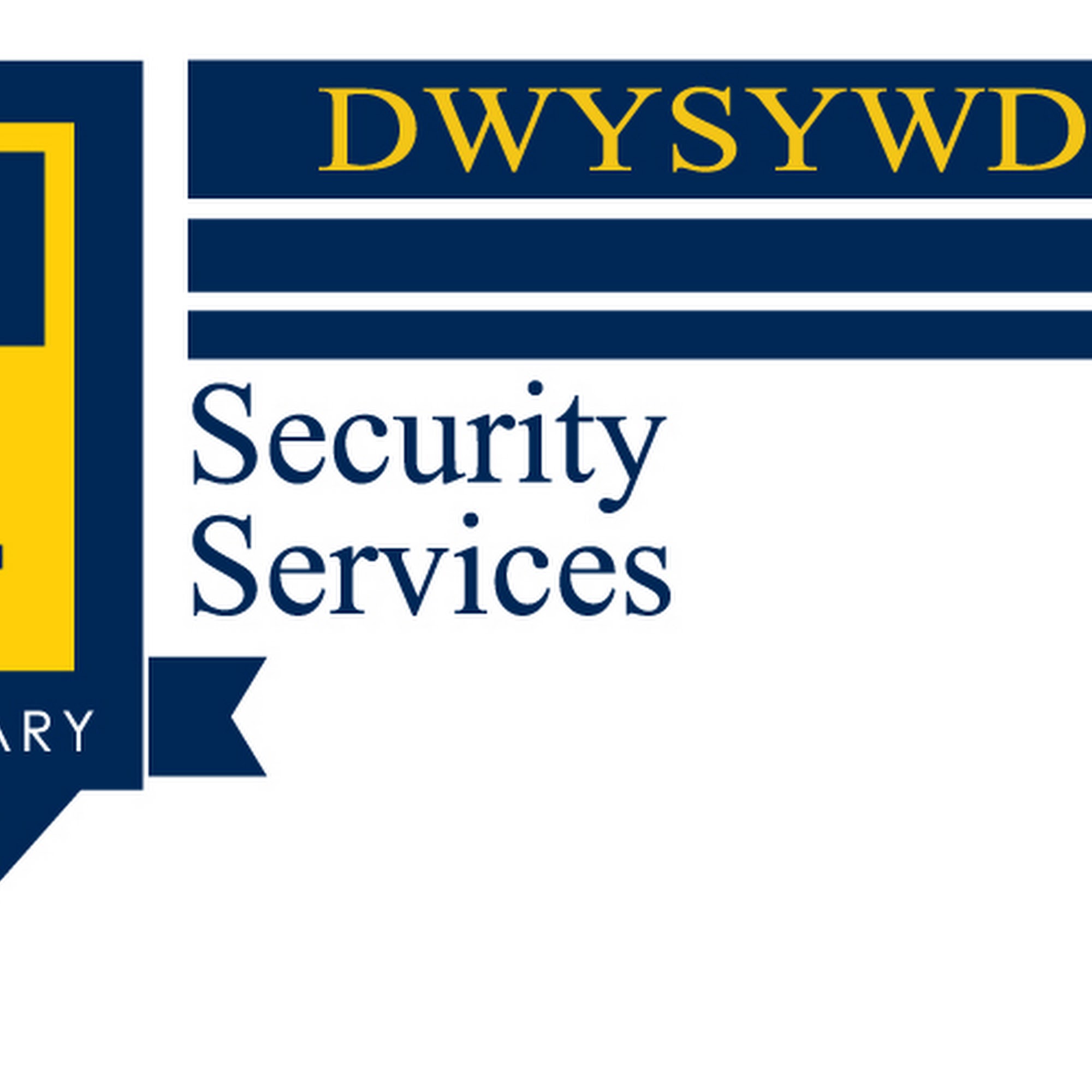 DSI Security Services