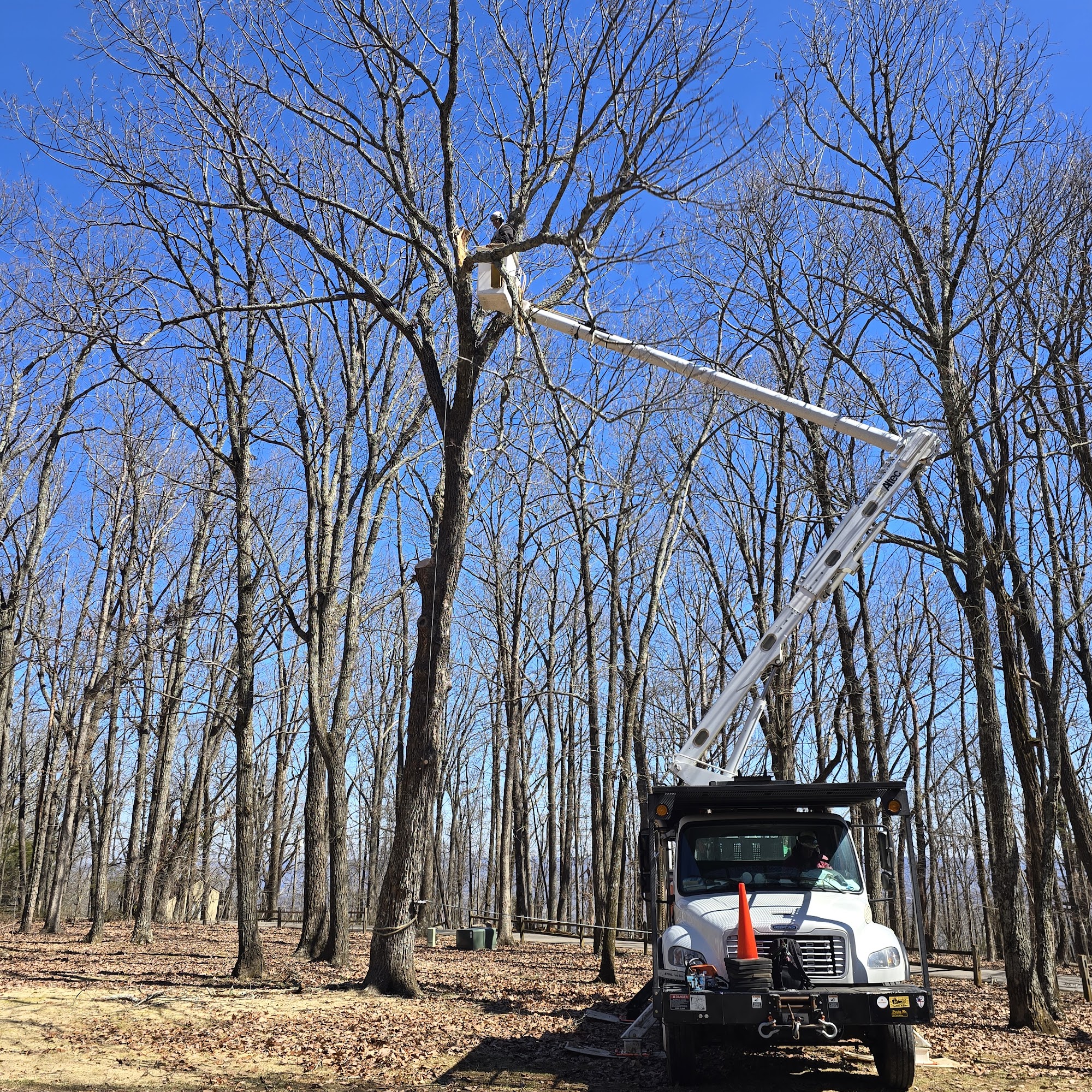 Tree Techs 6324 Whitesburg Dr, Huntsville Alabama 35802