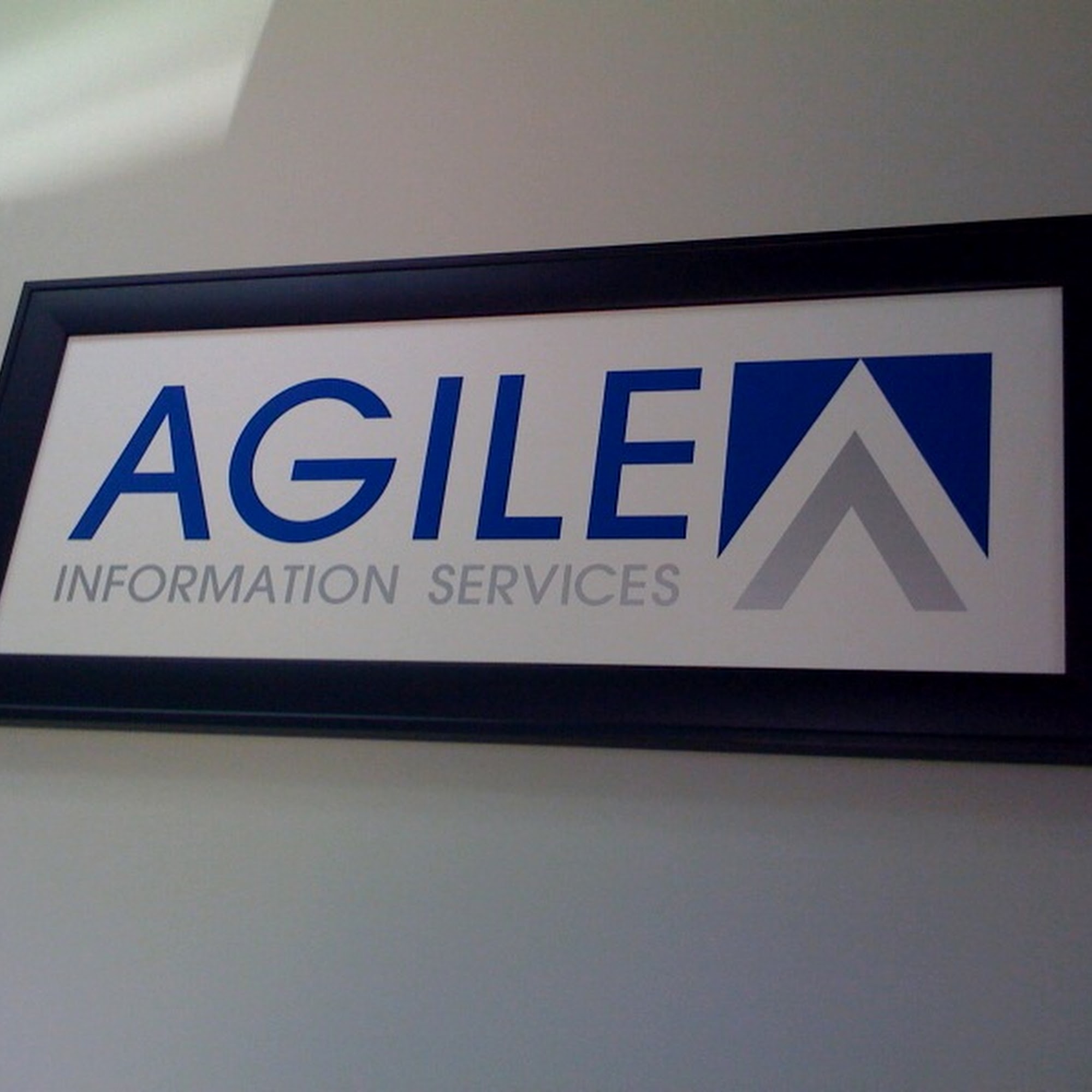 Agile Information Services