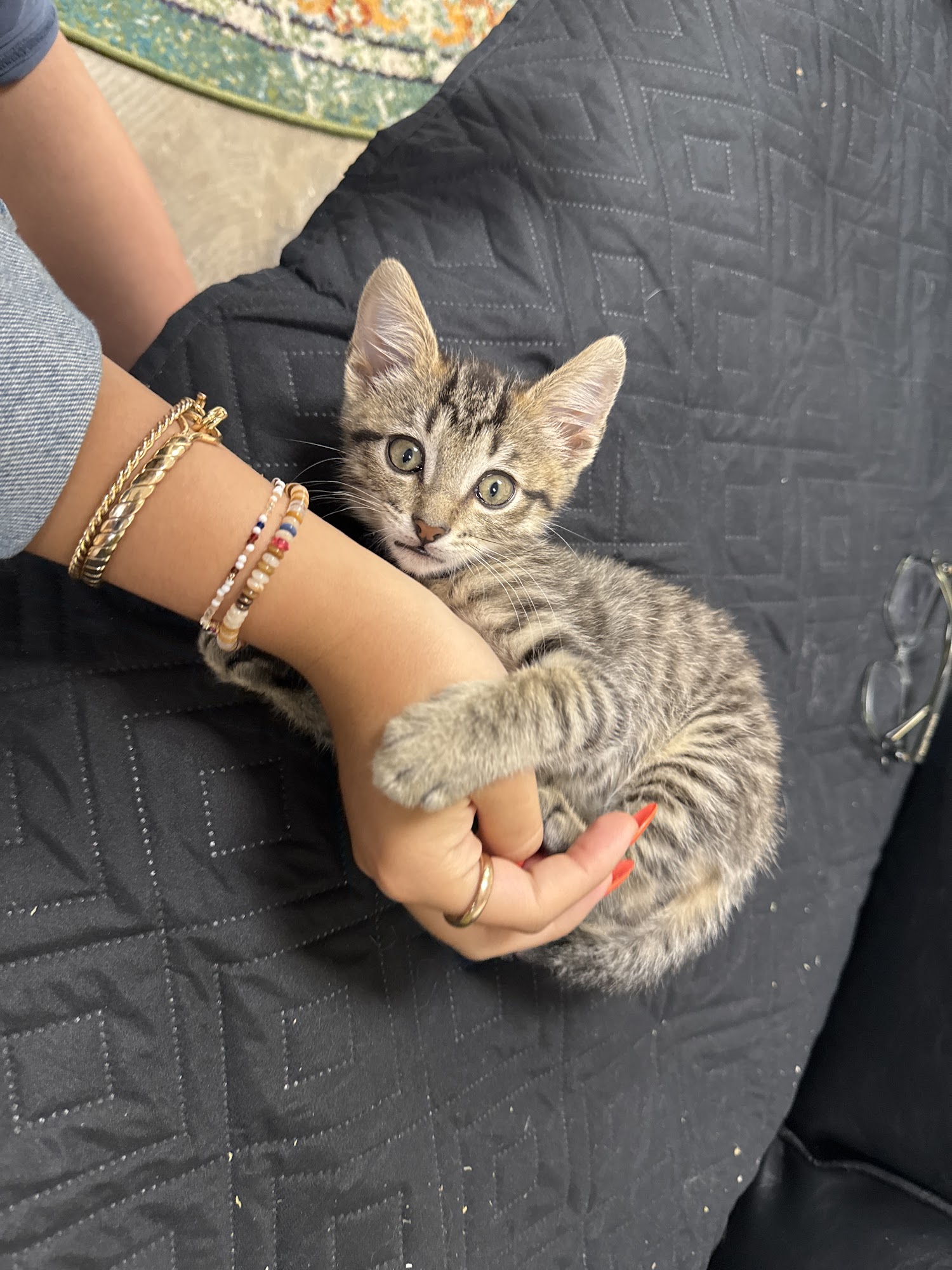 Cattyshack, Inc. Huntsville