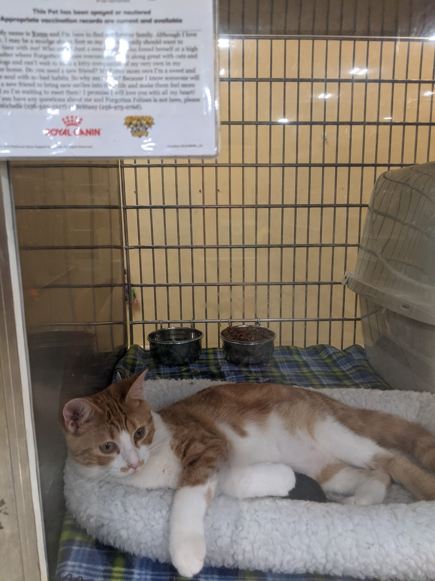 PetSmart Huntsville