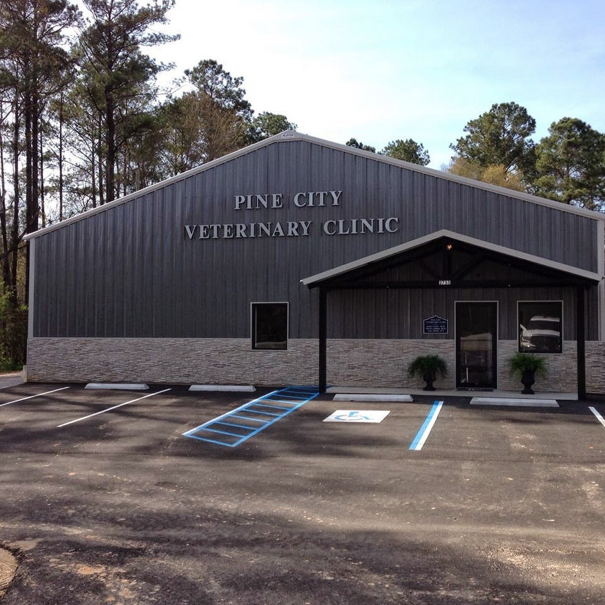 Pine City Veterinary Clinic LLC Jackson