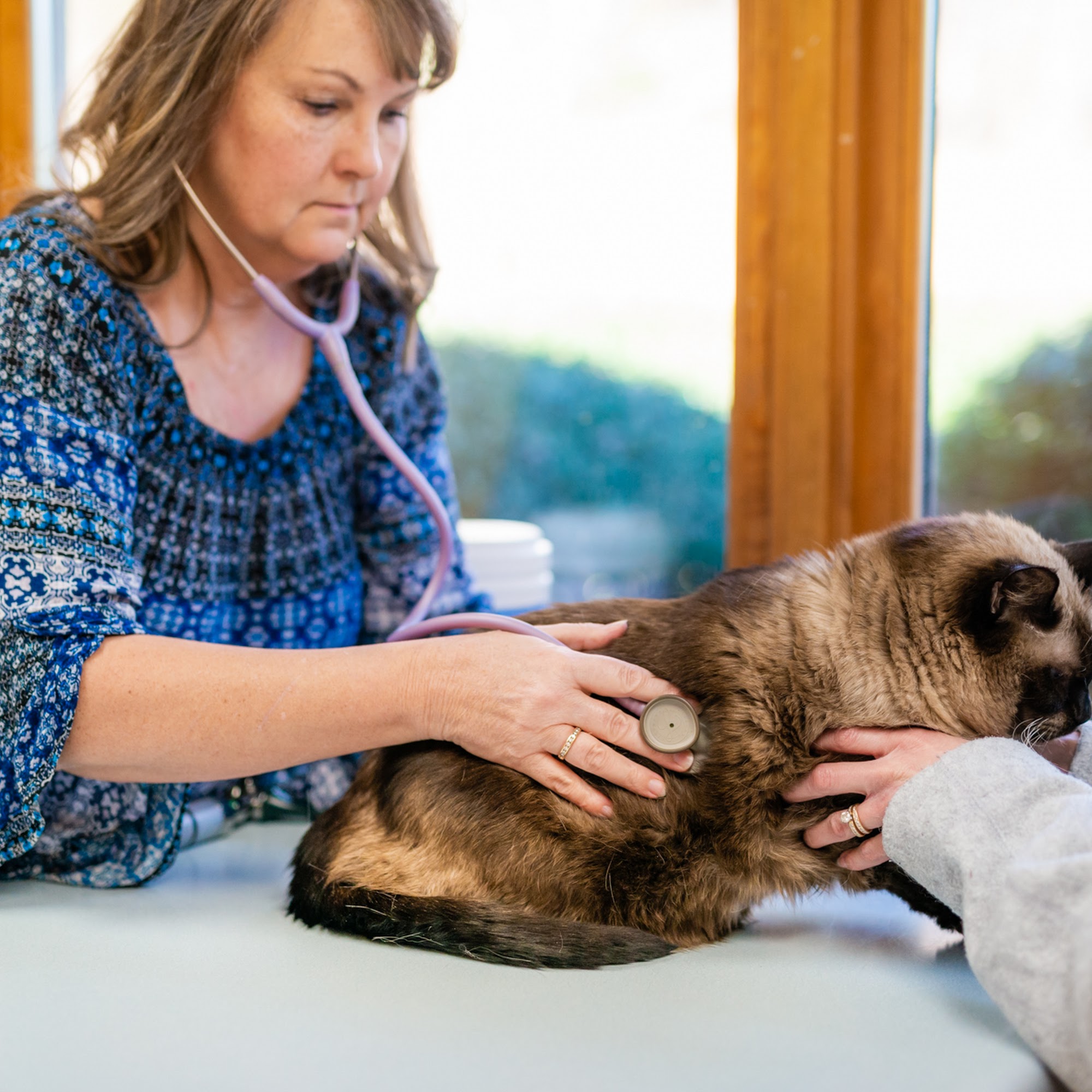 Clanton Animal Hospital LLC Jacksonville