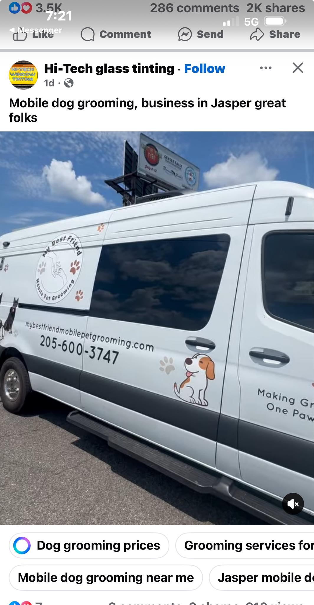 Ghenas Glamour Paws Jasper