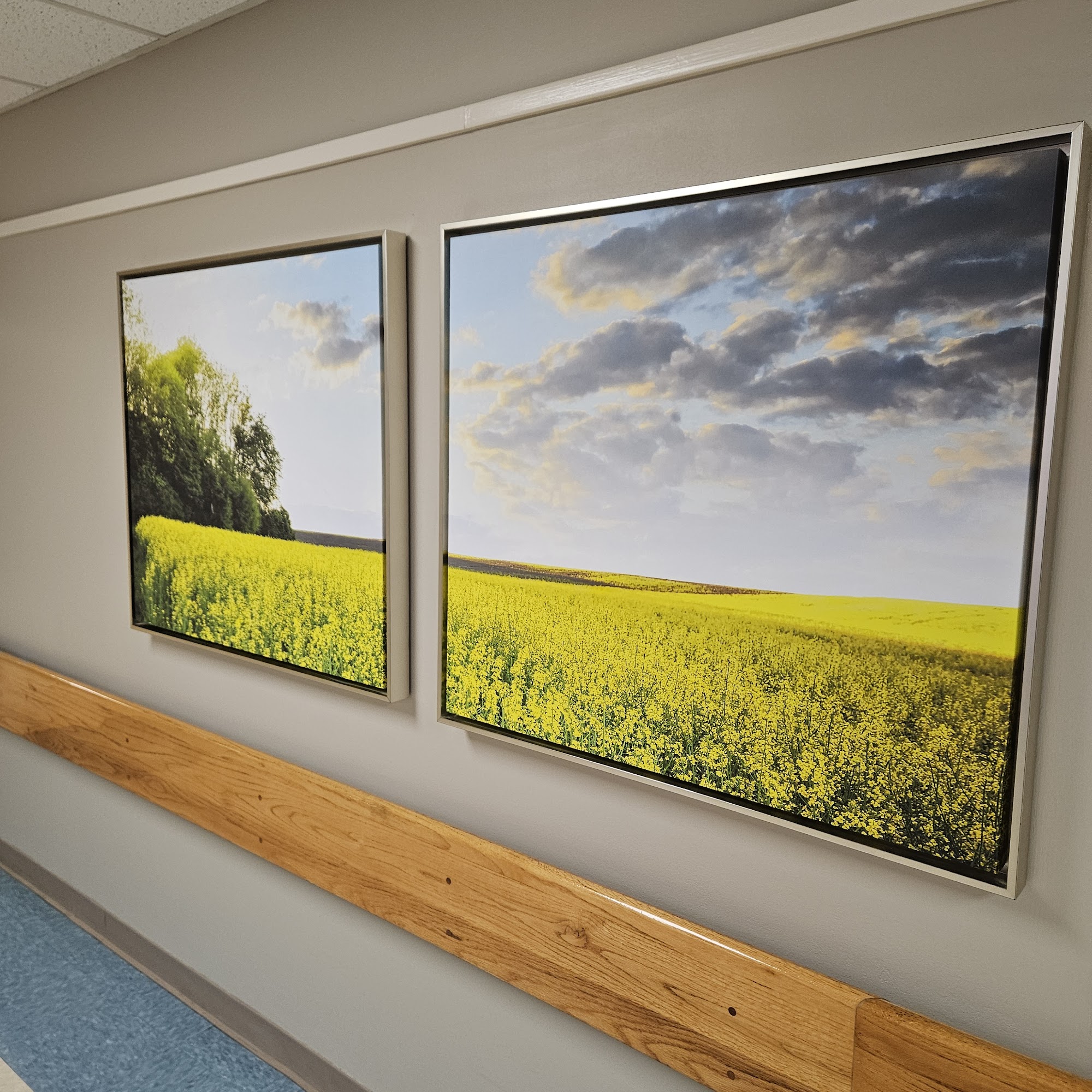 Baptist Health Walker Hospital-Emergency Room Jasper