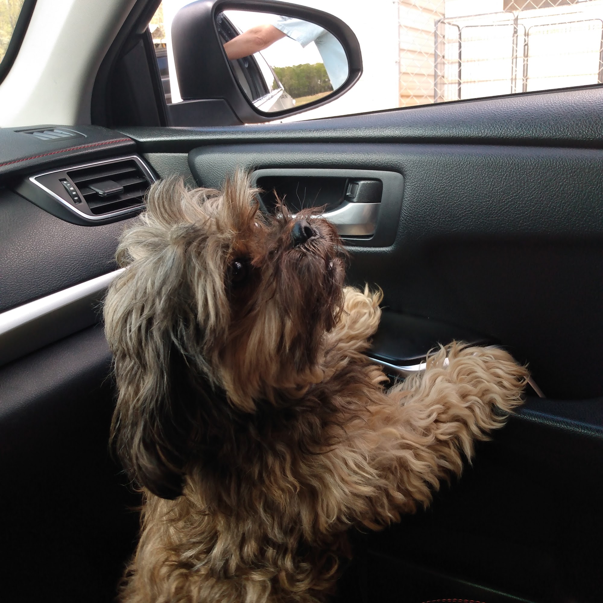 Pet Hair Care Lanett