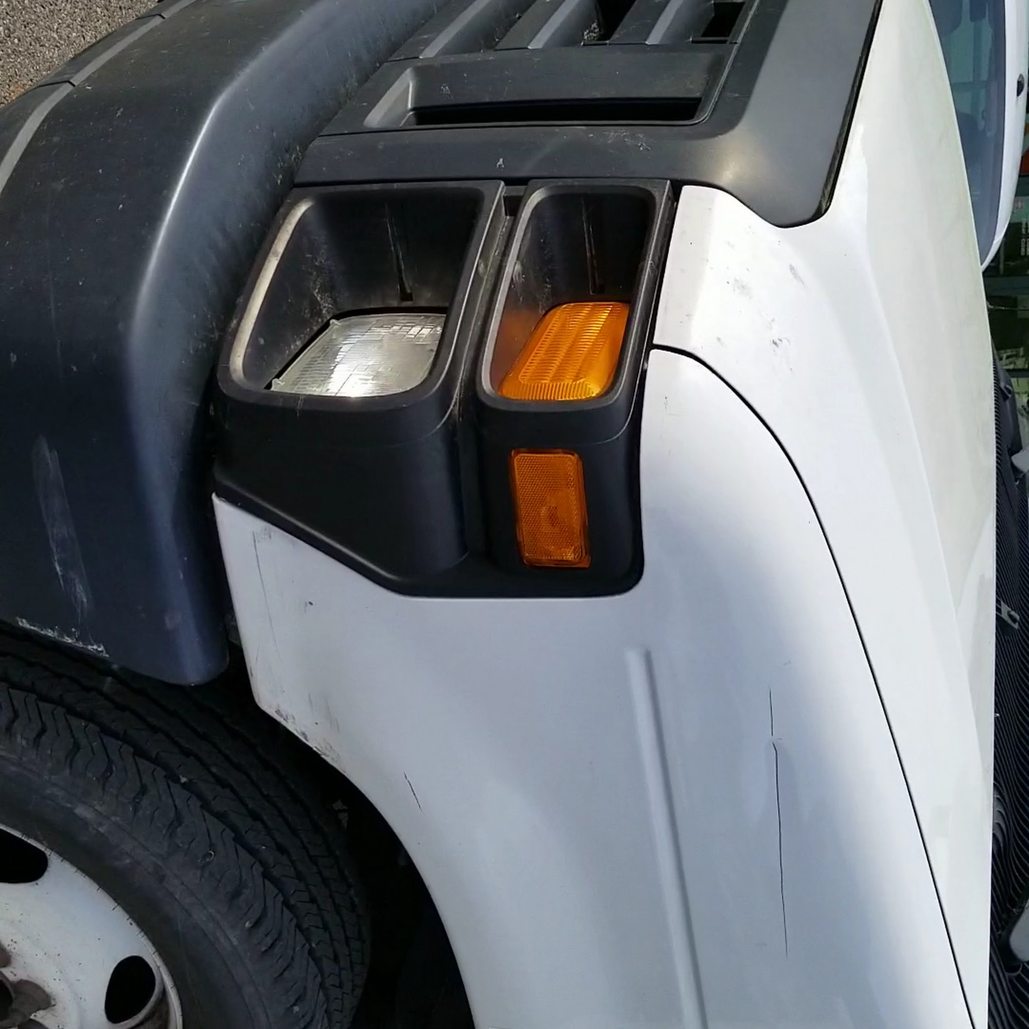 Catisfaction Cat Clinic Madison