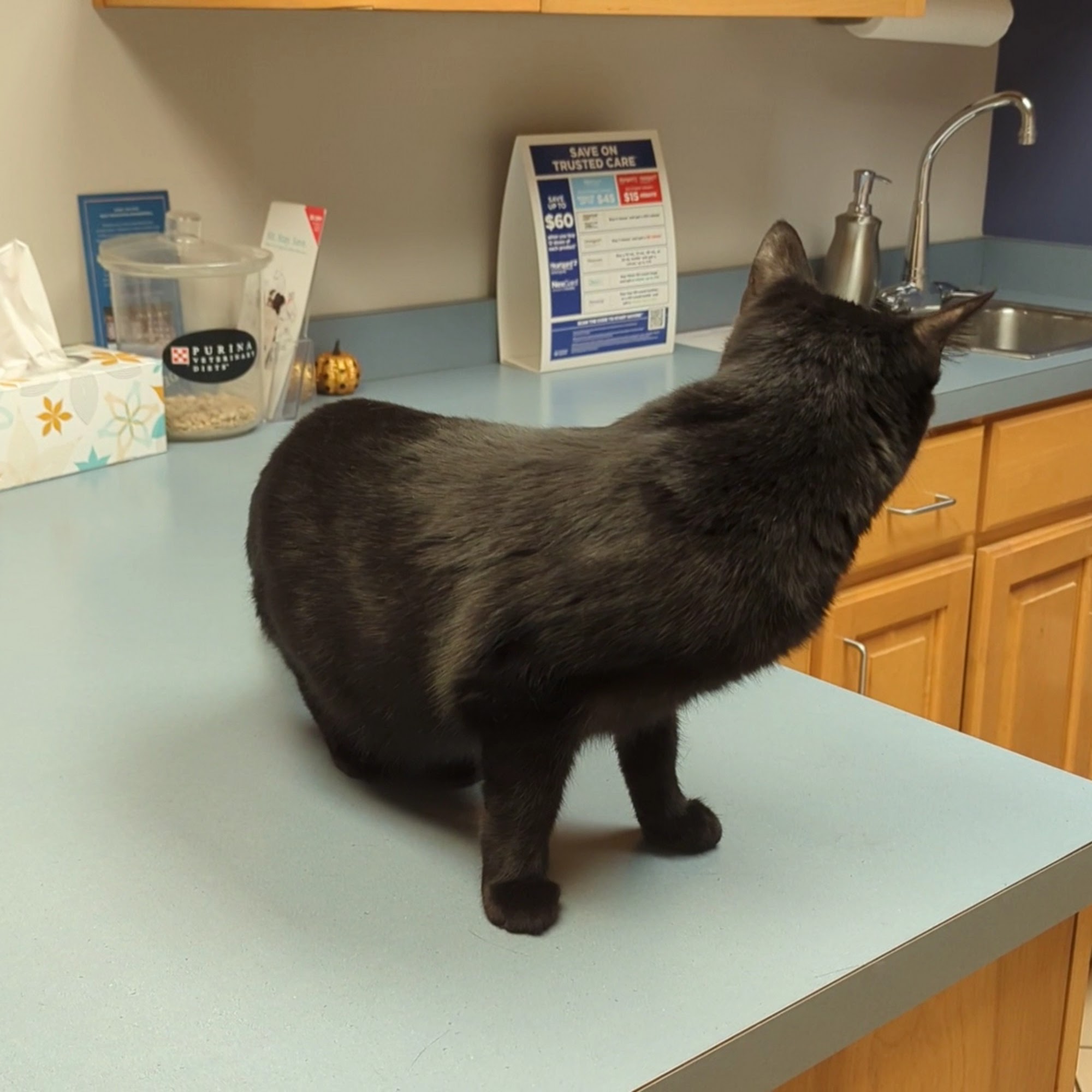 Animal Health Care Center Madison