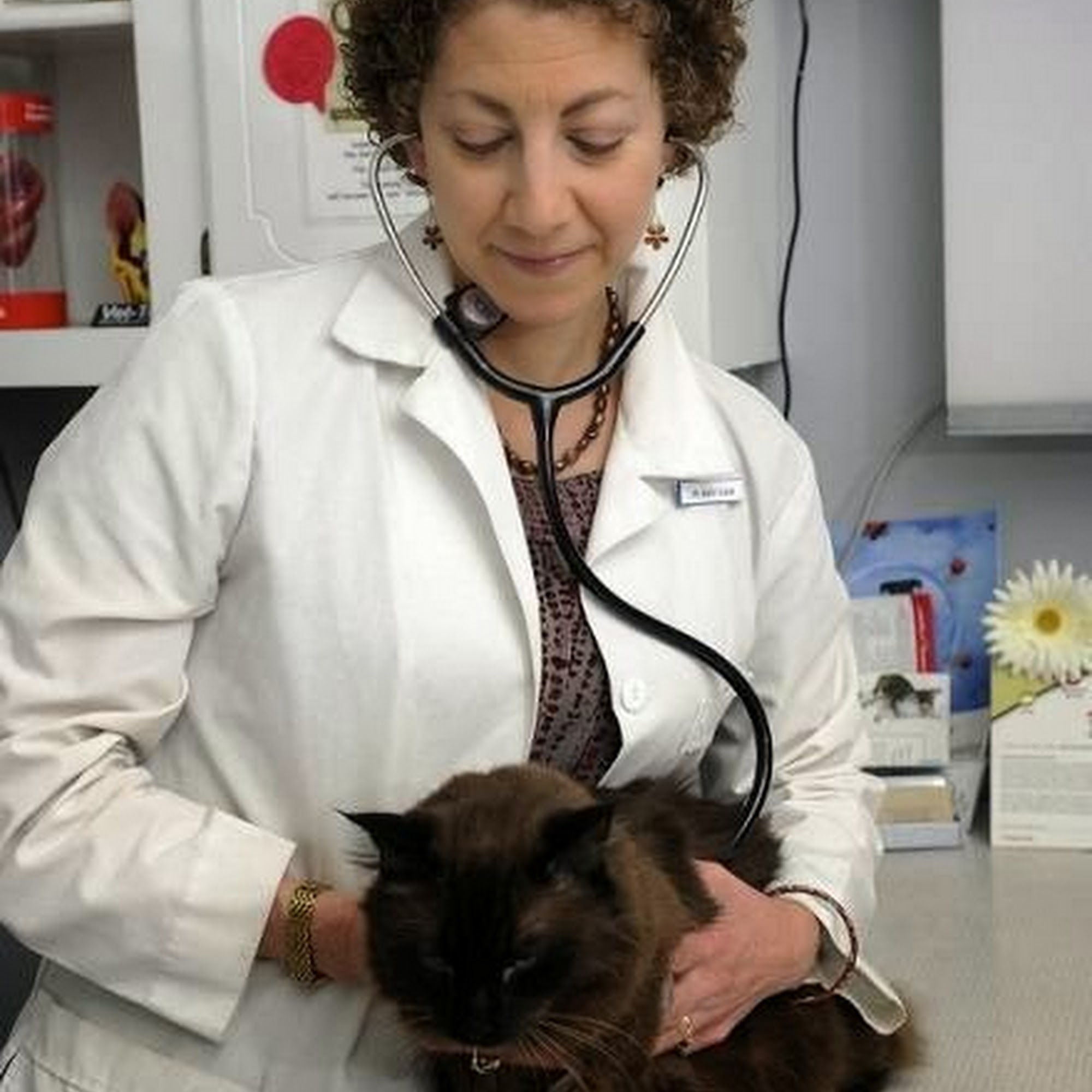 Companion Animal Care Madison