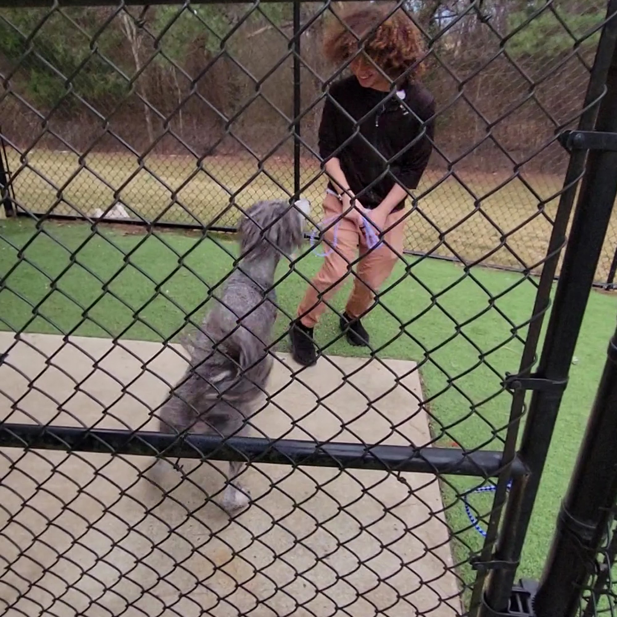 West Madison Veterinary Hospital and Pet Resort Madison