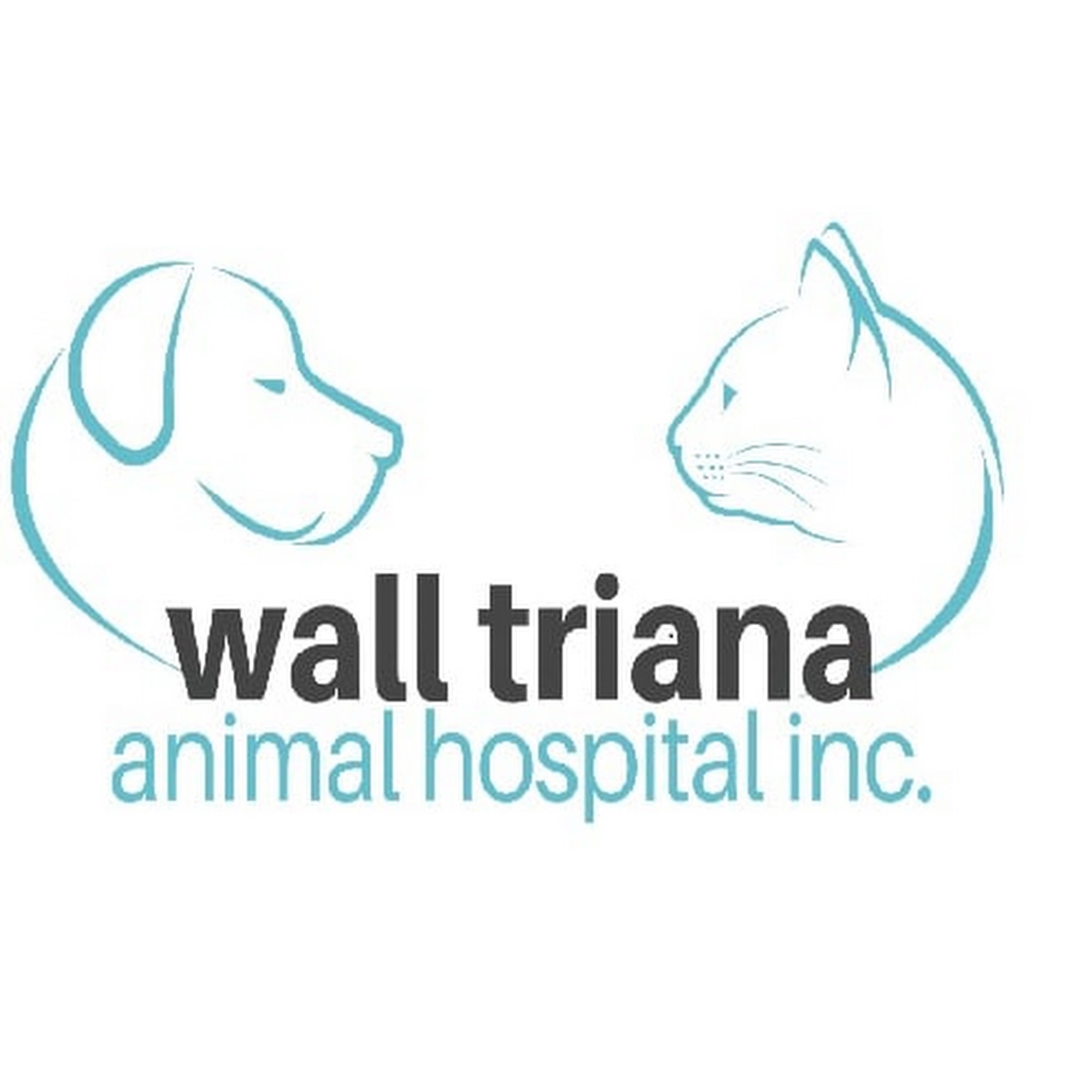 Wall Triana Animal Hospital Madison