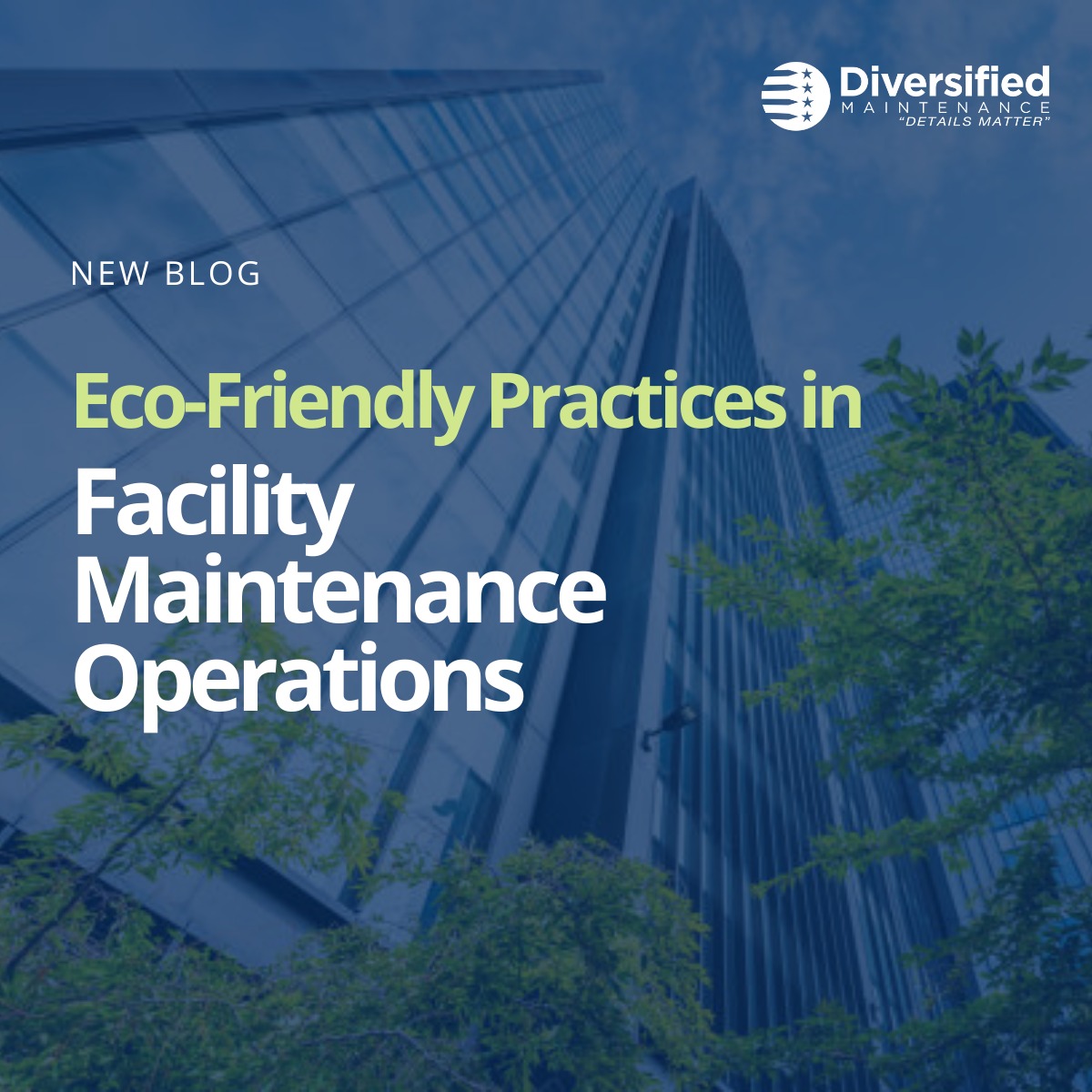 Diversified Maintenance