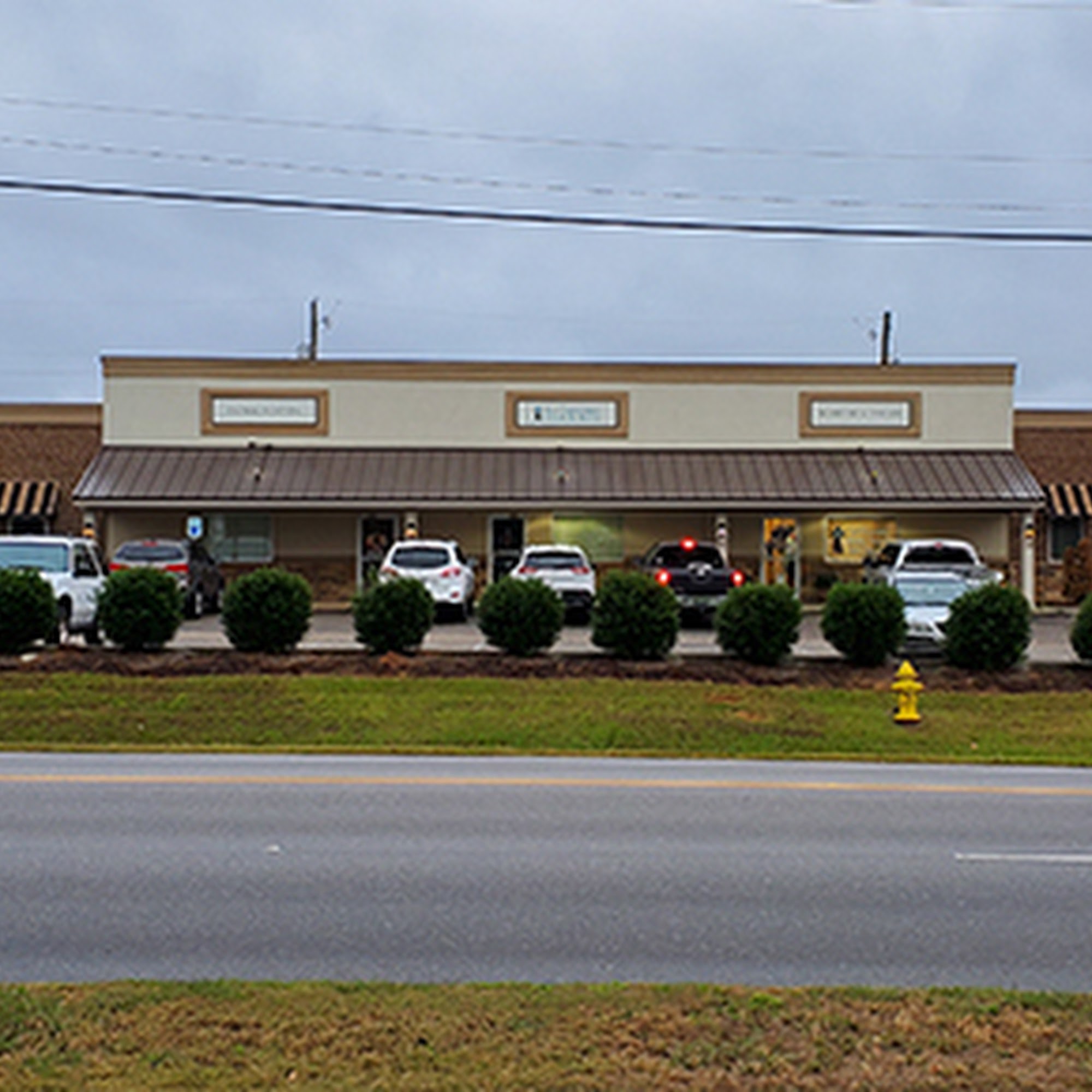 All Creatures Animal Hospital Millbrook