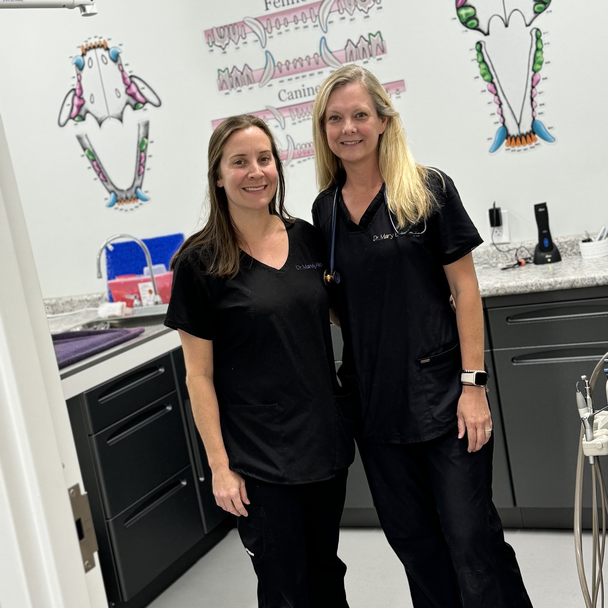 Spring Hill Animal Clinic Mobile