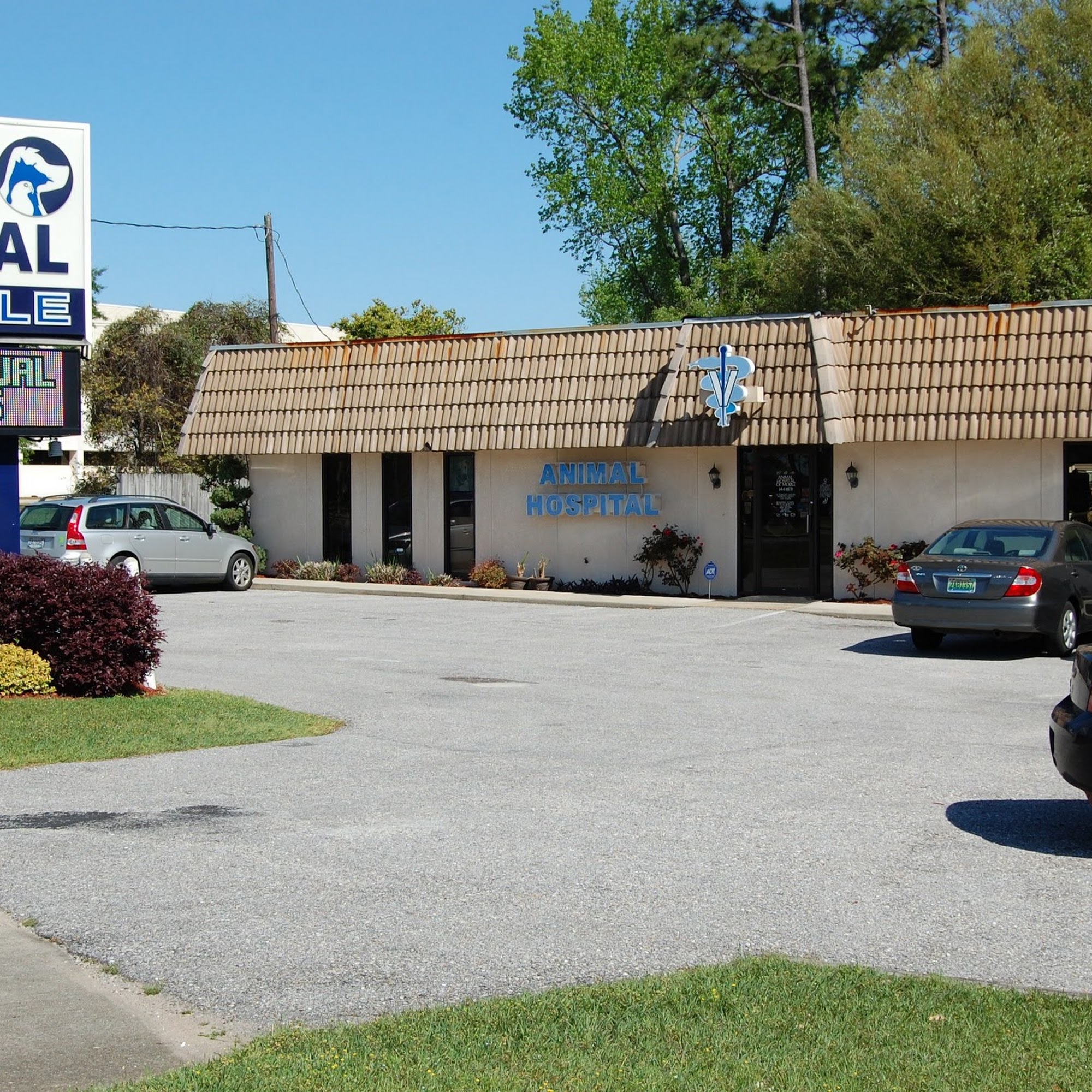 Animal Hospital of Mobile Mobile