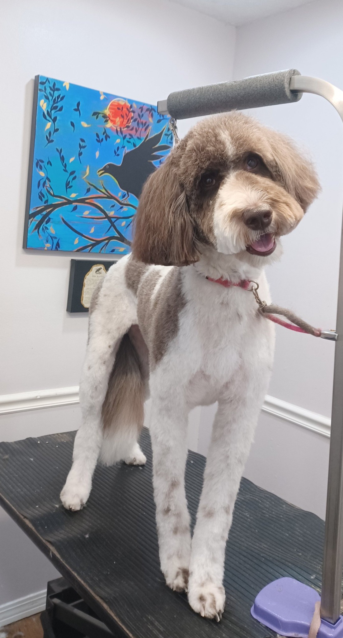 Paws on Pinehill LLC Mobile