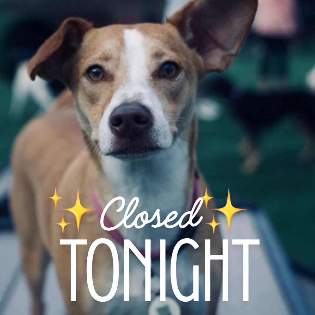 HopHounds Brew Pub & Dog Park Mobile